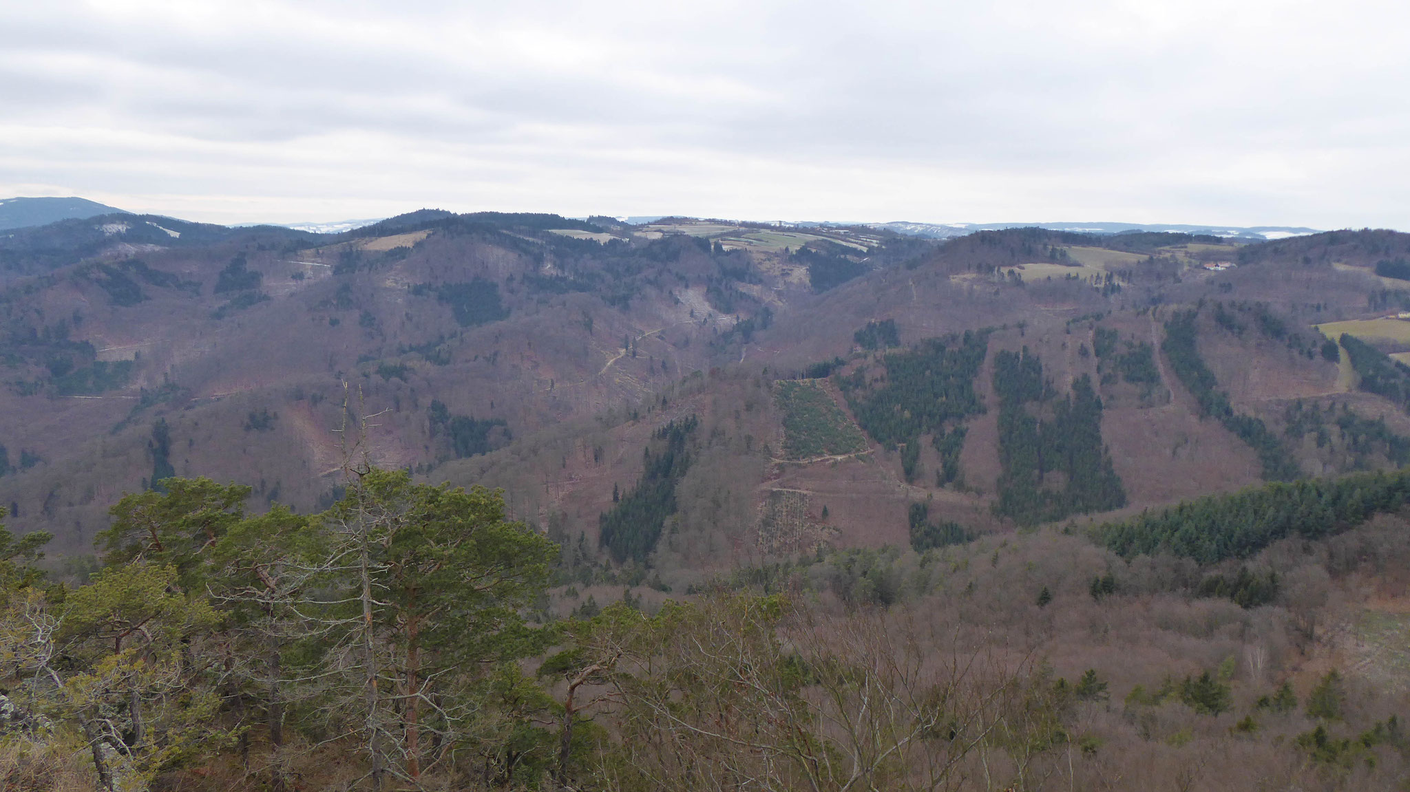 Über den Mosinggraben ins Waldviertler Hochland