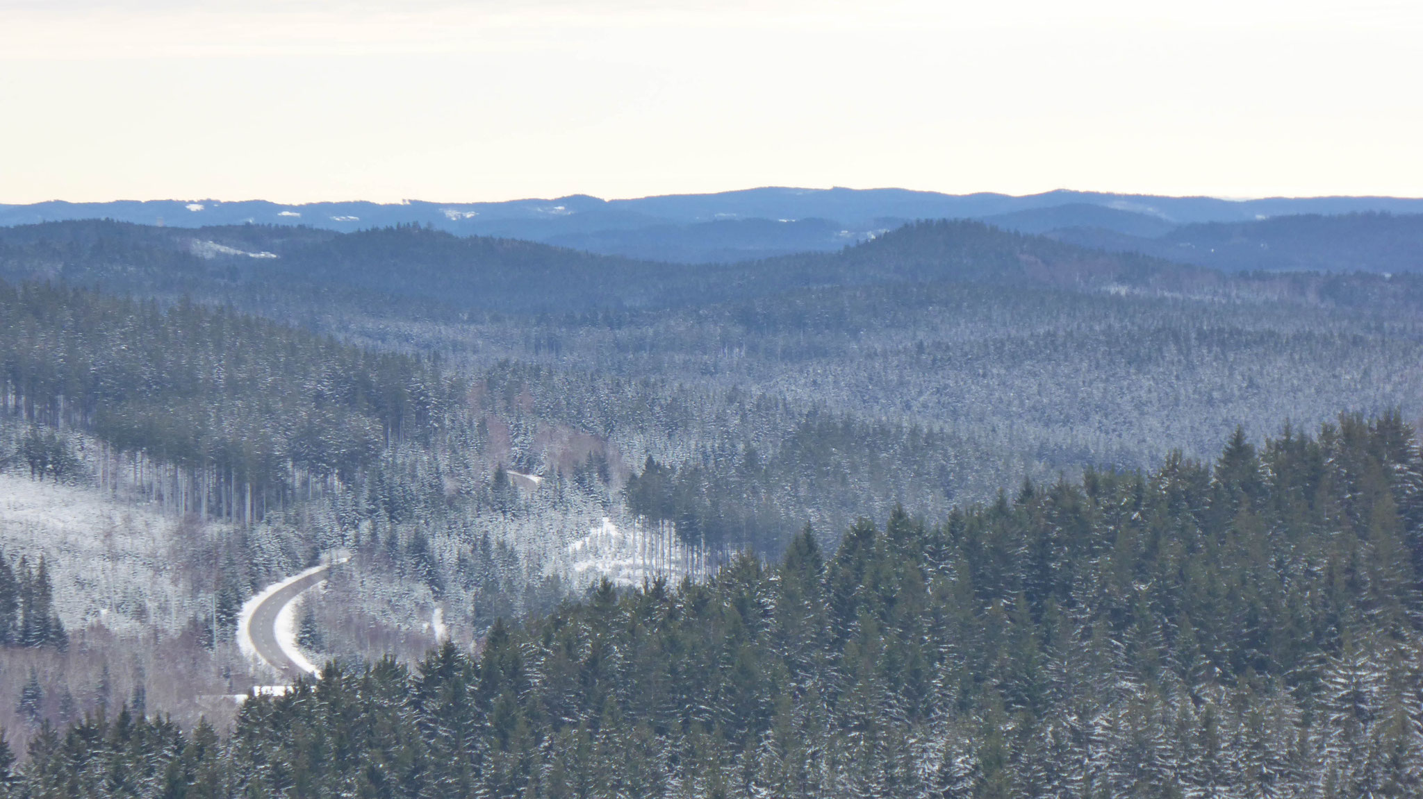 Nach Osten ins zentrale Waldviertel