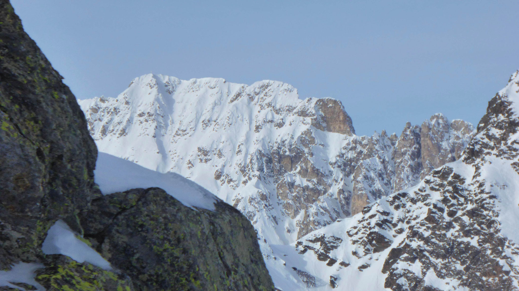 Schneeberger Weißen