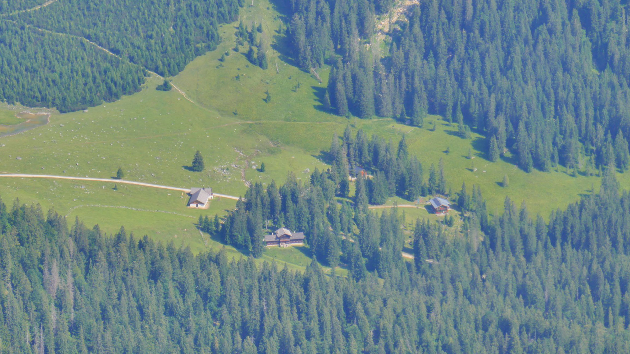 Vereiner-Alm