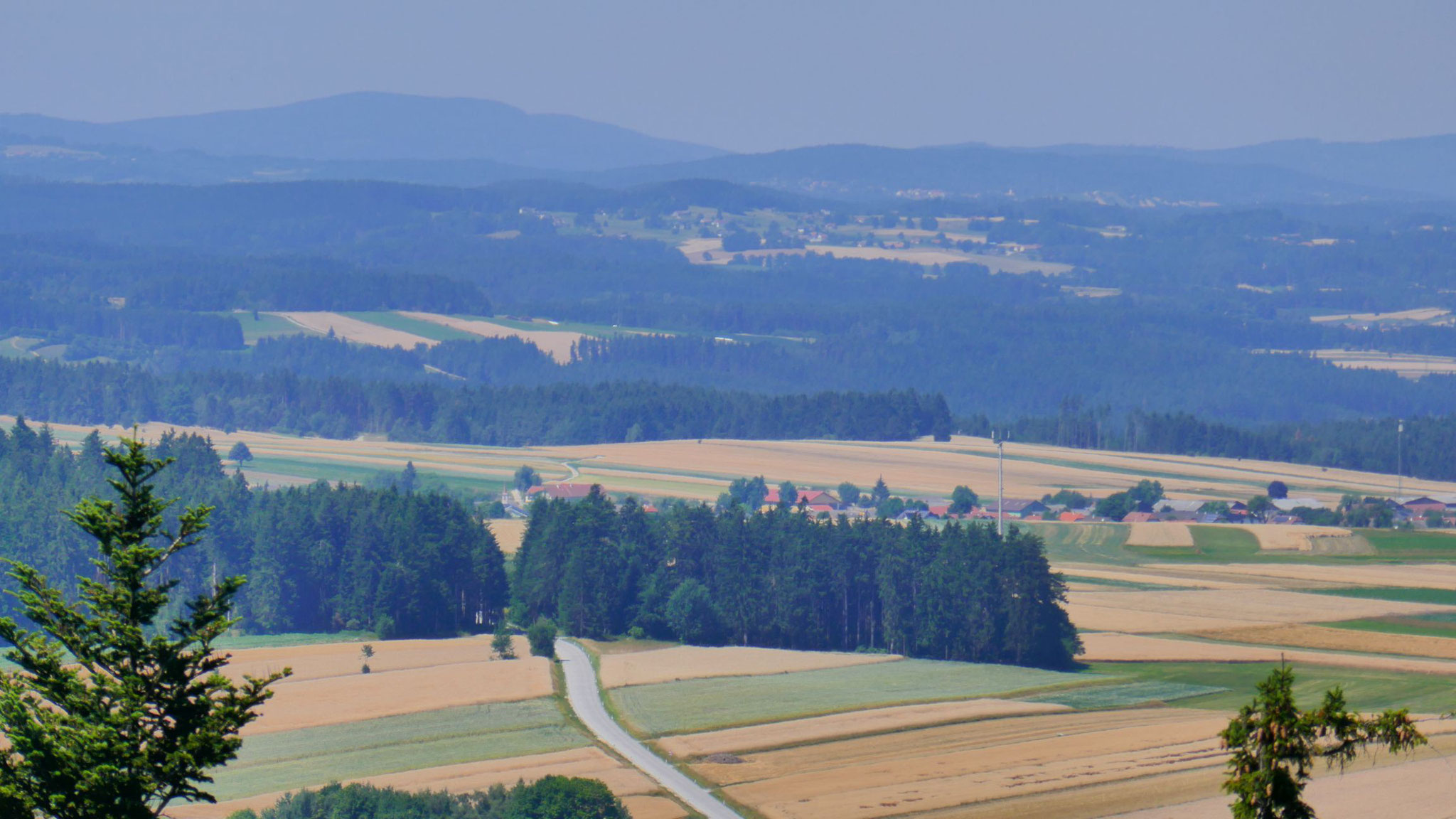 Am Horizont die Vysoka (1.034m) im Böhmerwald