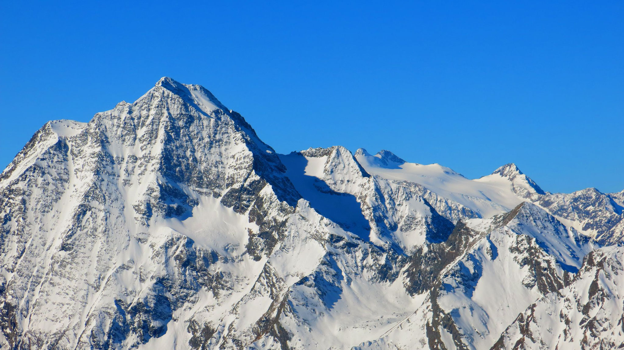 Habicht, dahinter Zuckerhütl