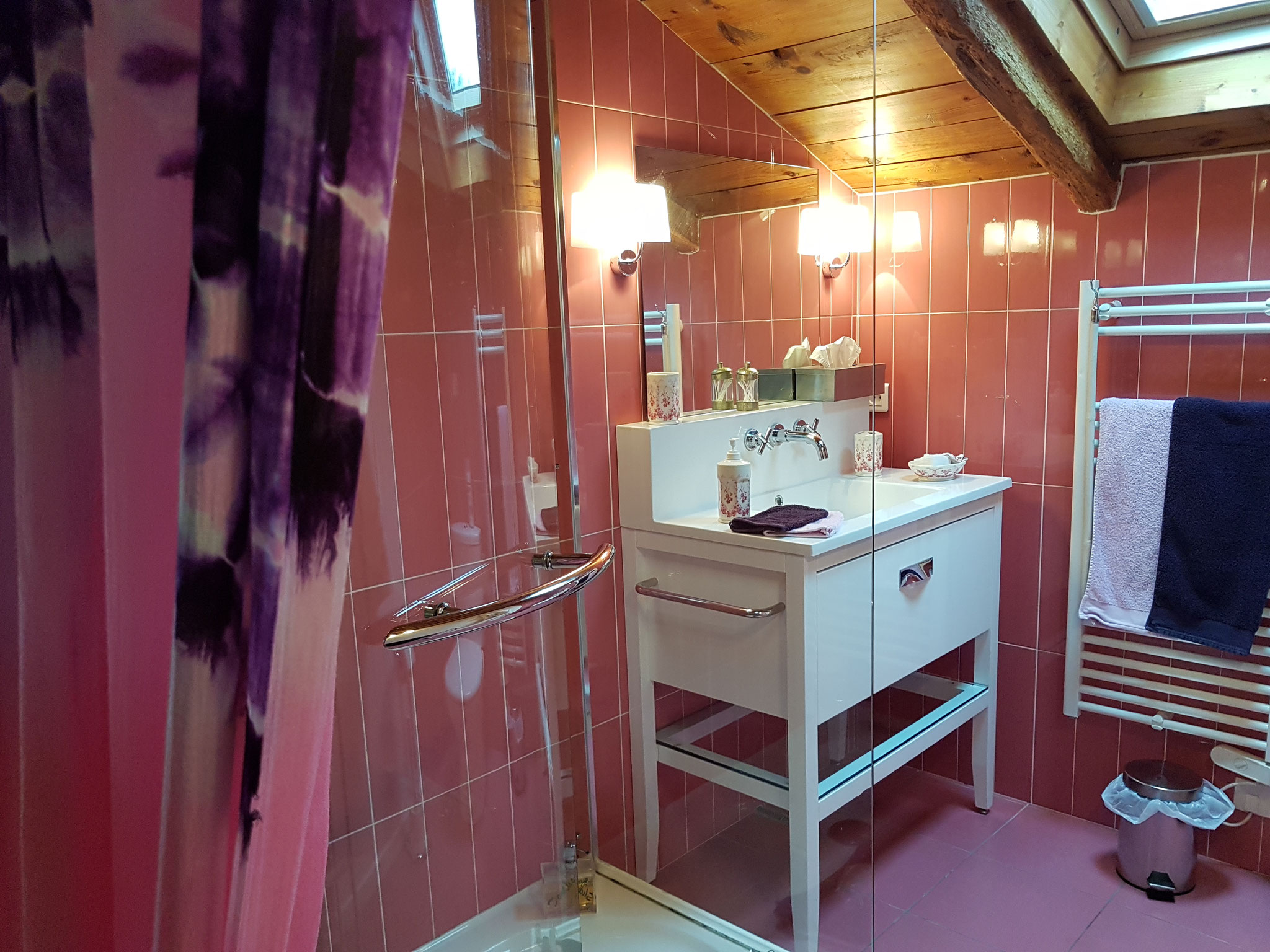 chambre Amarante salle de douche