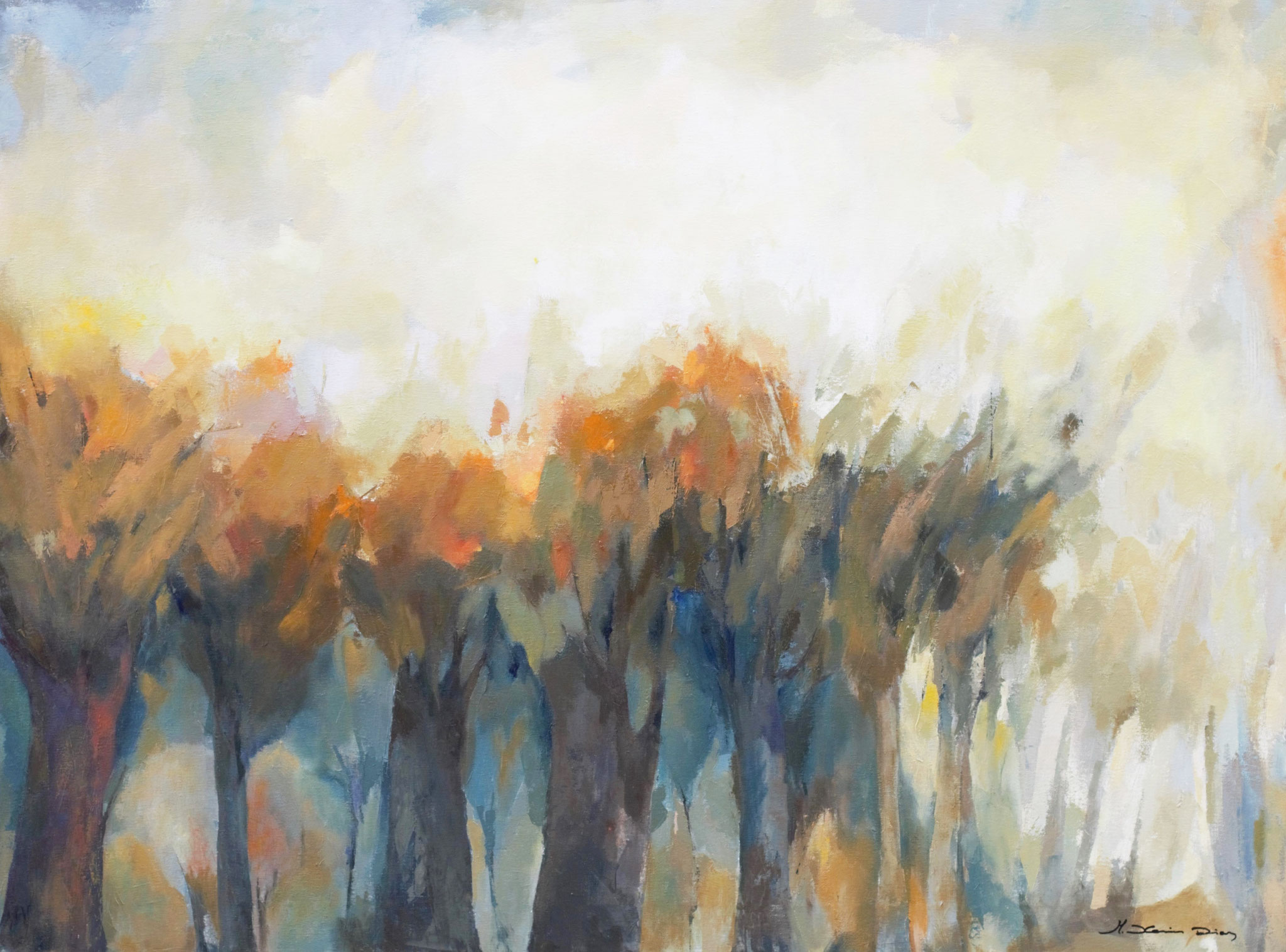 No disponible 97x130