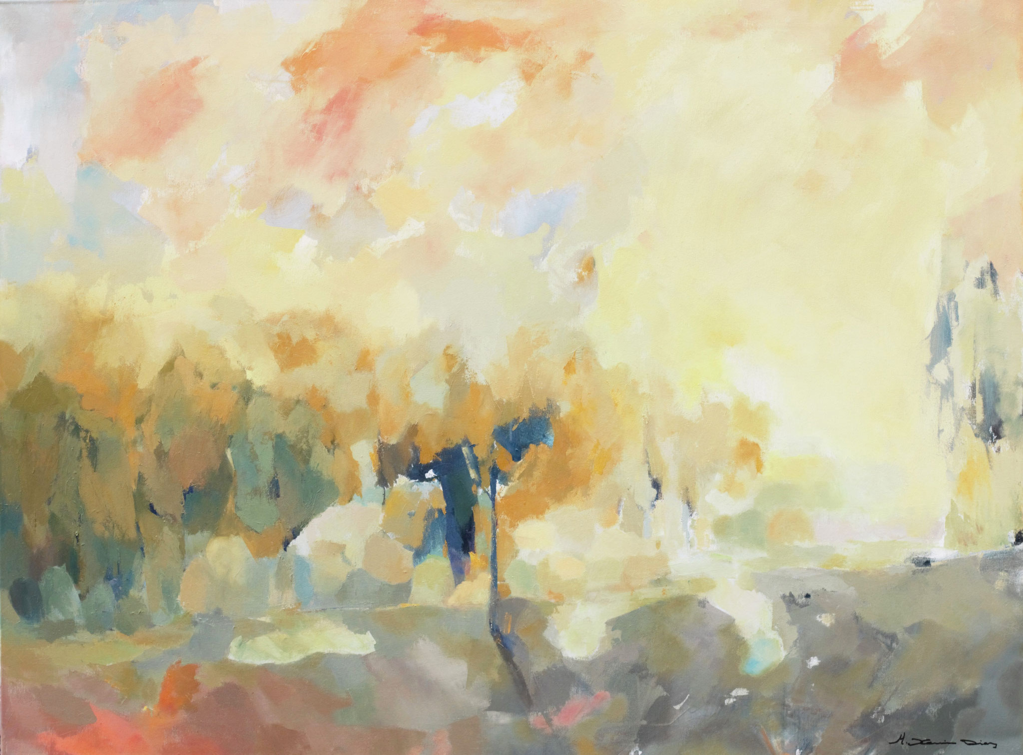 No disponible 97x130