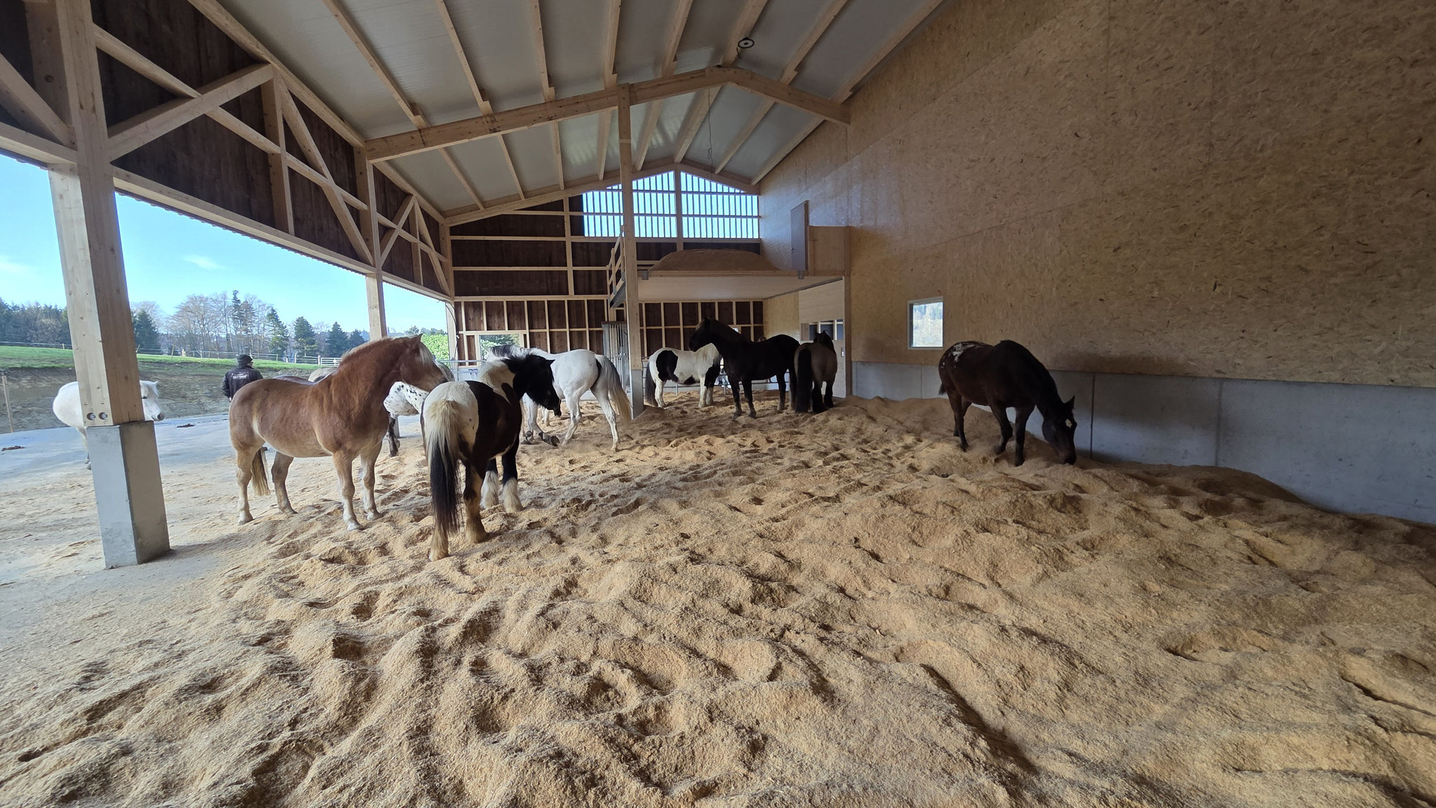 Liegehalle