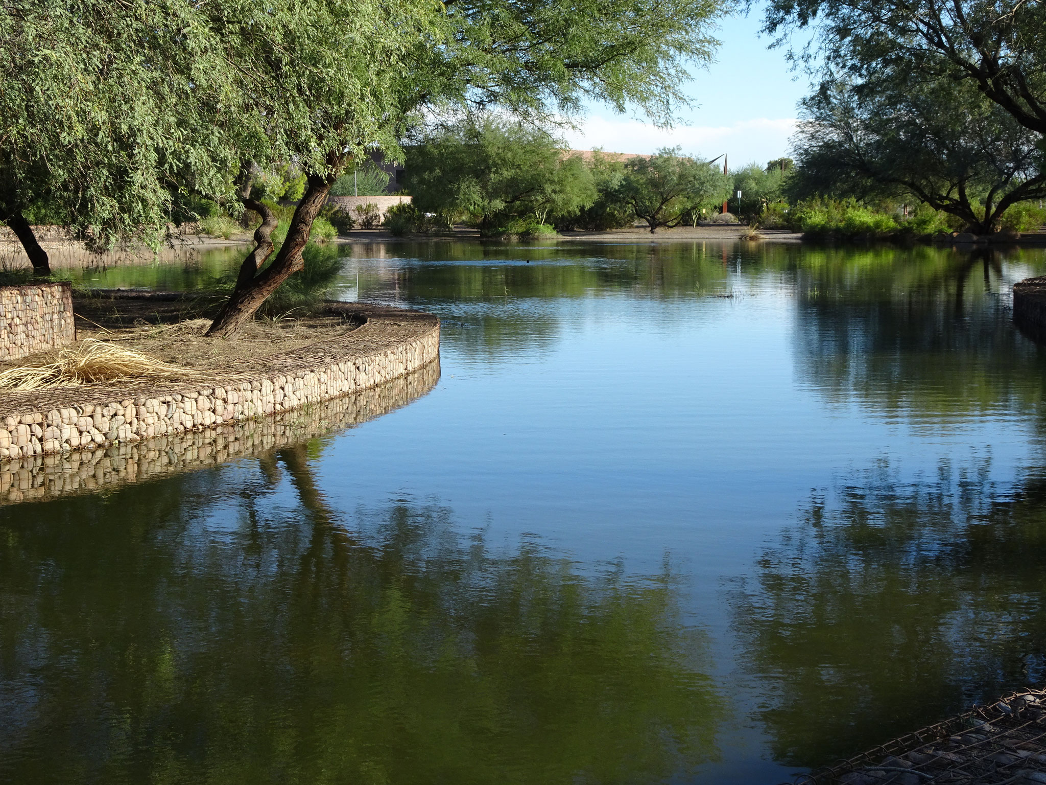 Canal Arizona, Scottsdale