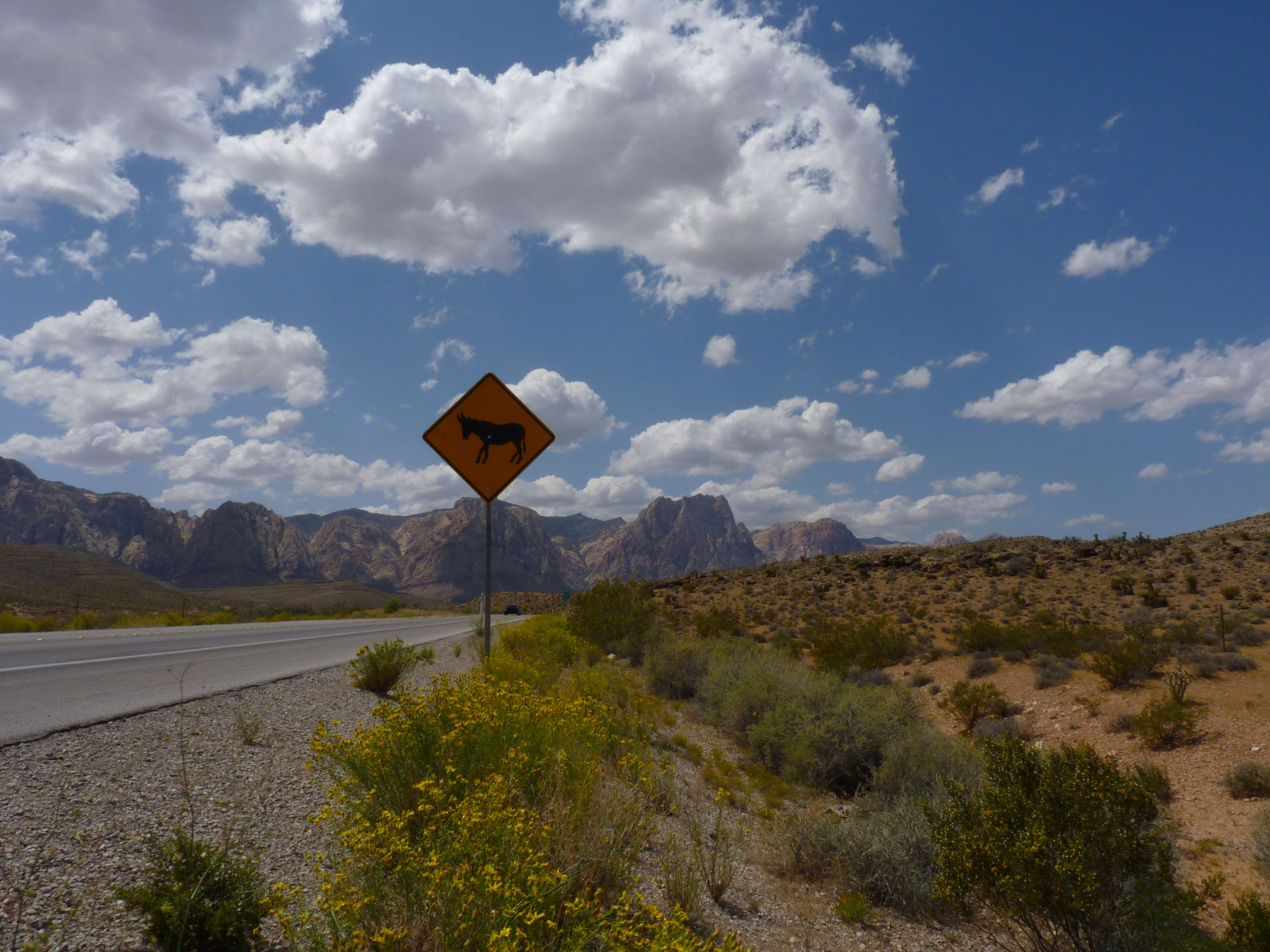 Sur la route de Red Rock Canyon (Nevada)
