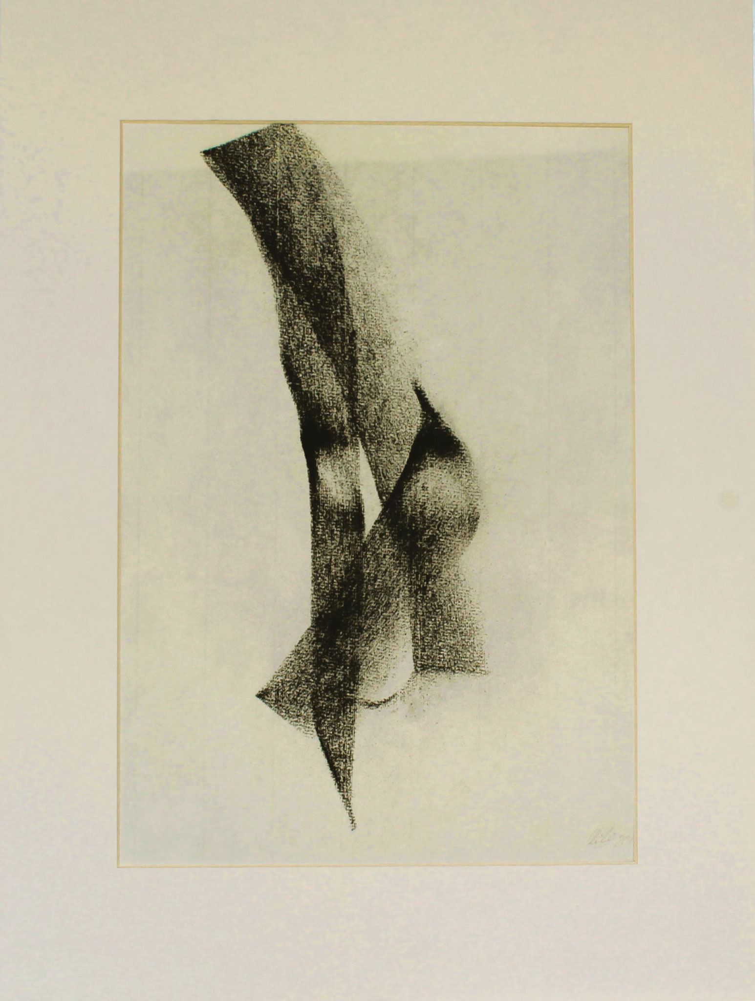 Kohle auf Papier,30x40 aussen, 20x29 innen, 2012