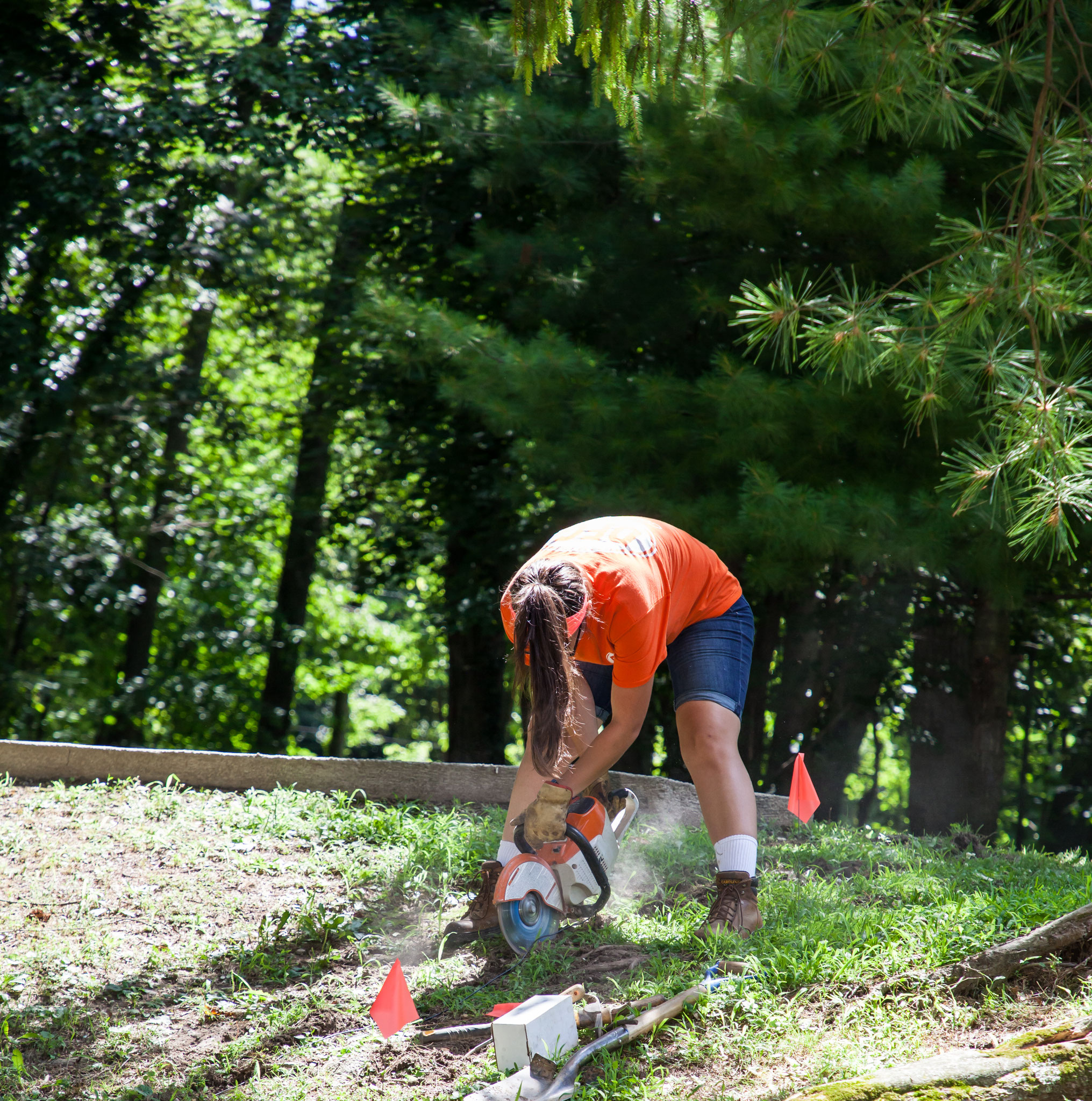 Photo Gallery Dog Fence Guy installs invisible type dog and pet fence