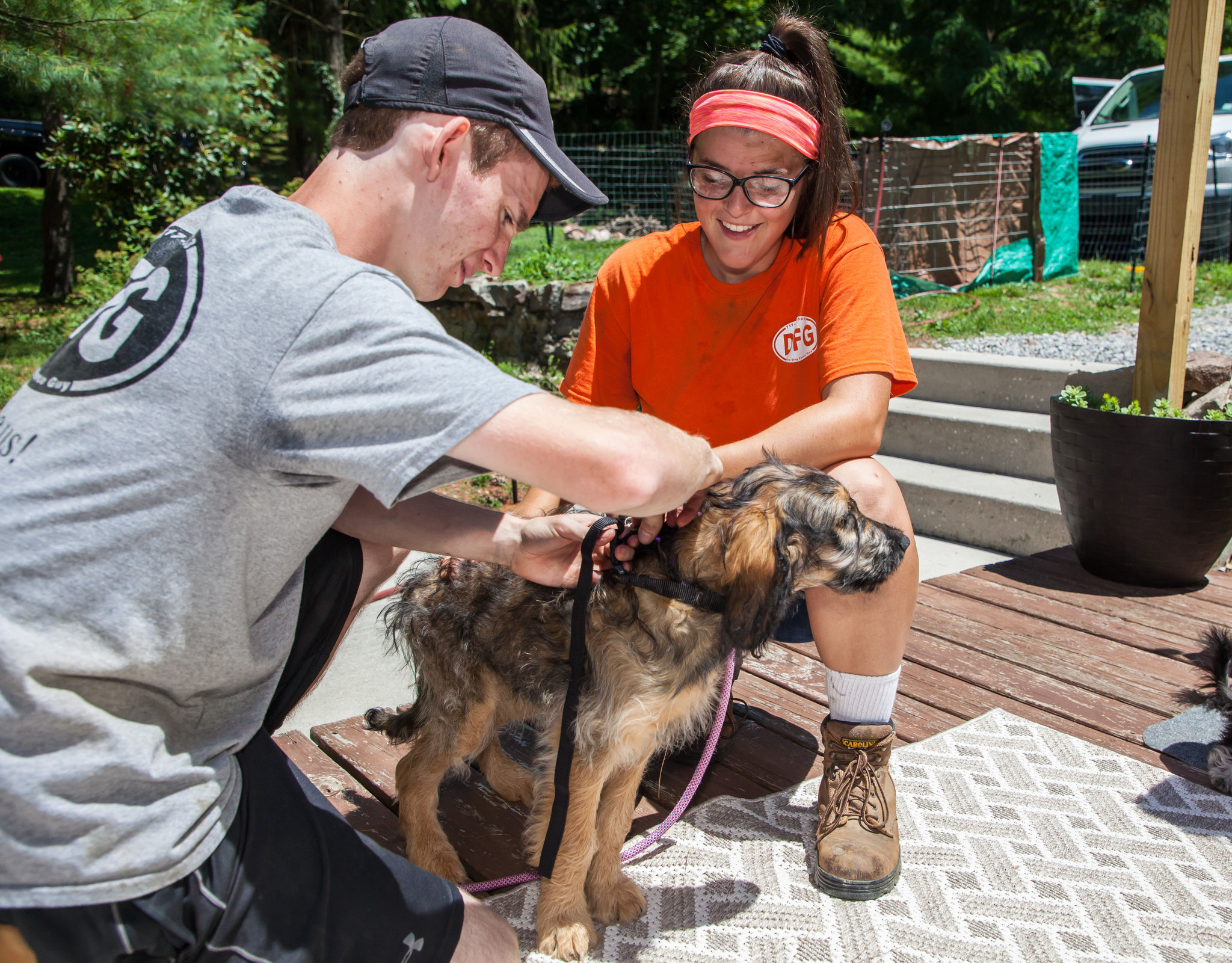 Photo Gallery Dog Fence Guy installs invisible type dog and pet fence