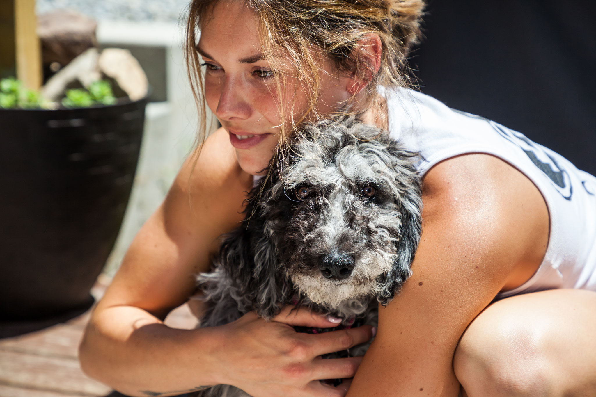 Photo Gallery Dog Fence Guy installs invisible type dog and pet fence