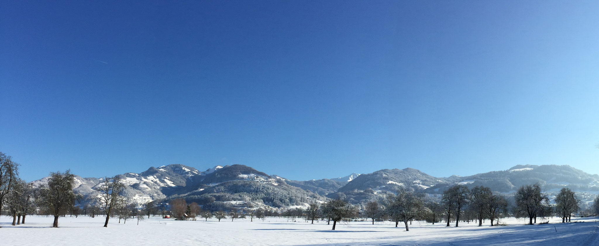 Berggemeinden Fraxern, Viktorsberg, Dafins, Batschuns