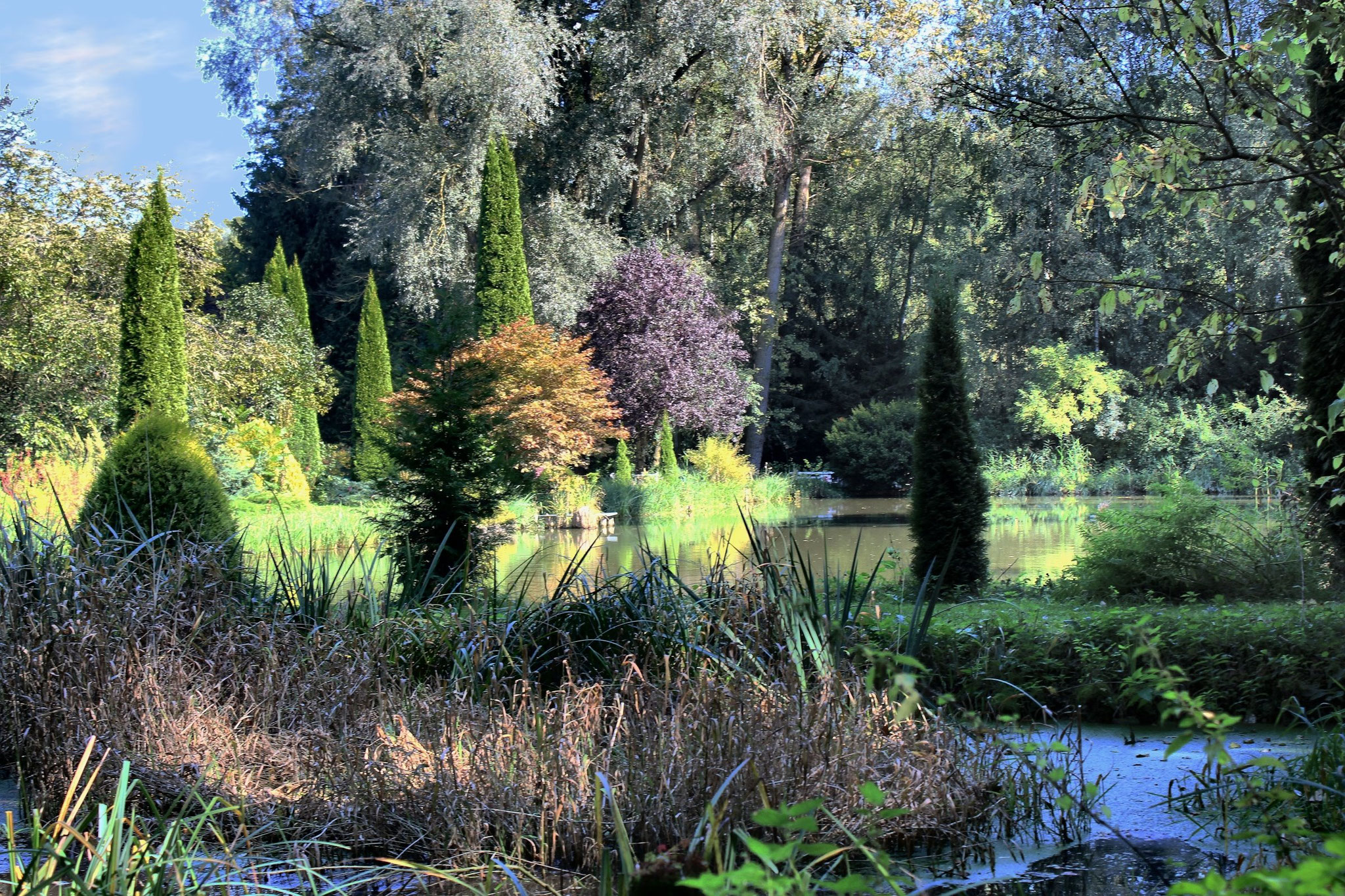 marzellus garten
