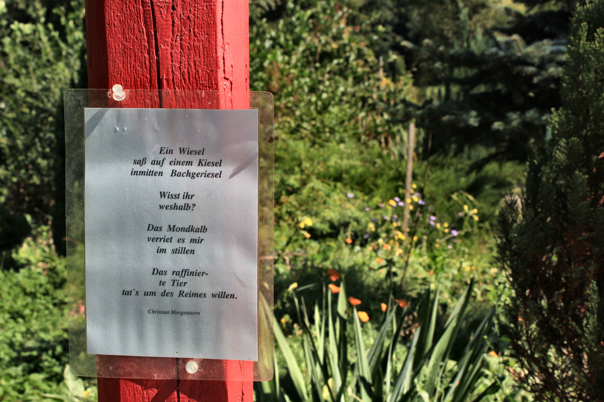 Marzellus Garten familiekaemmers Webseite!