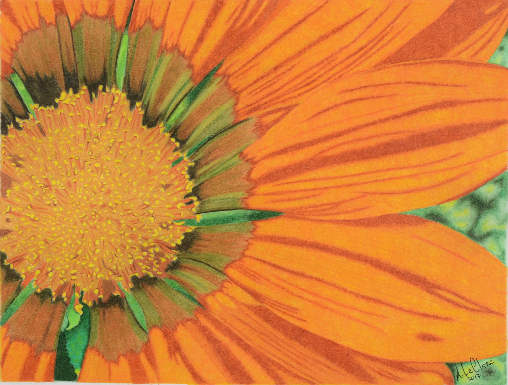 Orange soleil - Vendu