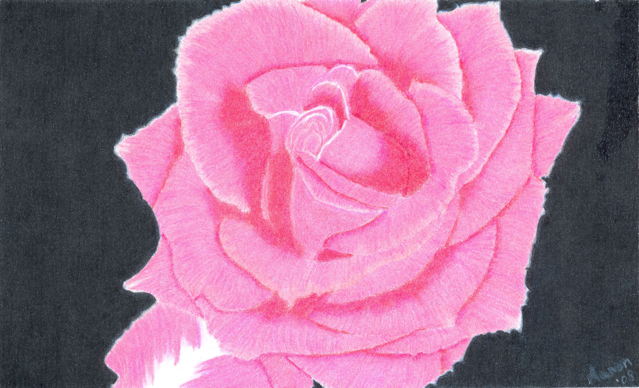Rose 