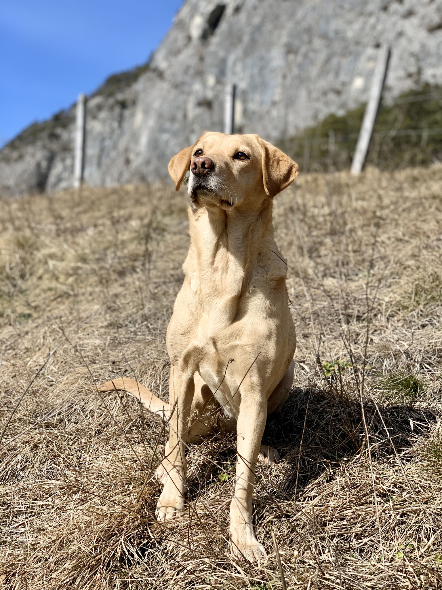 Zoe mit 5 Jahren