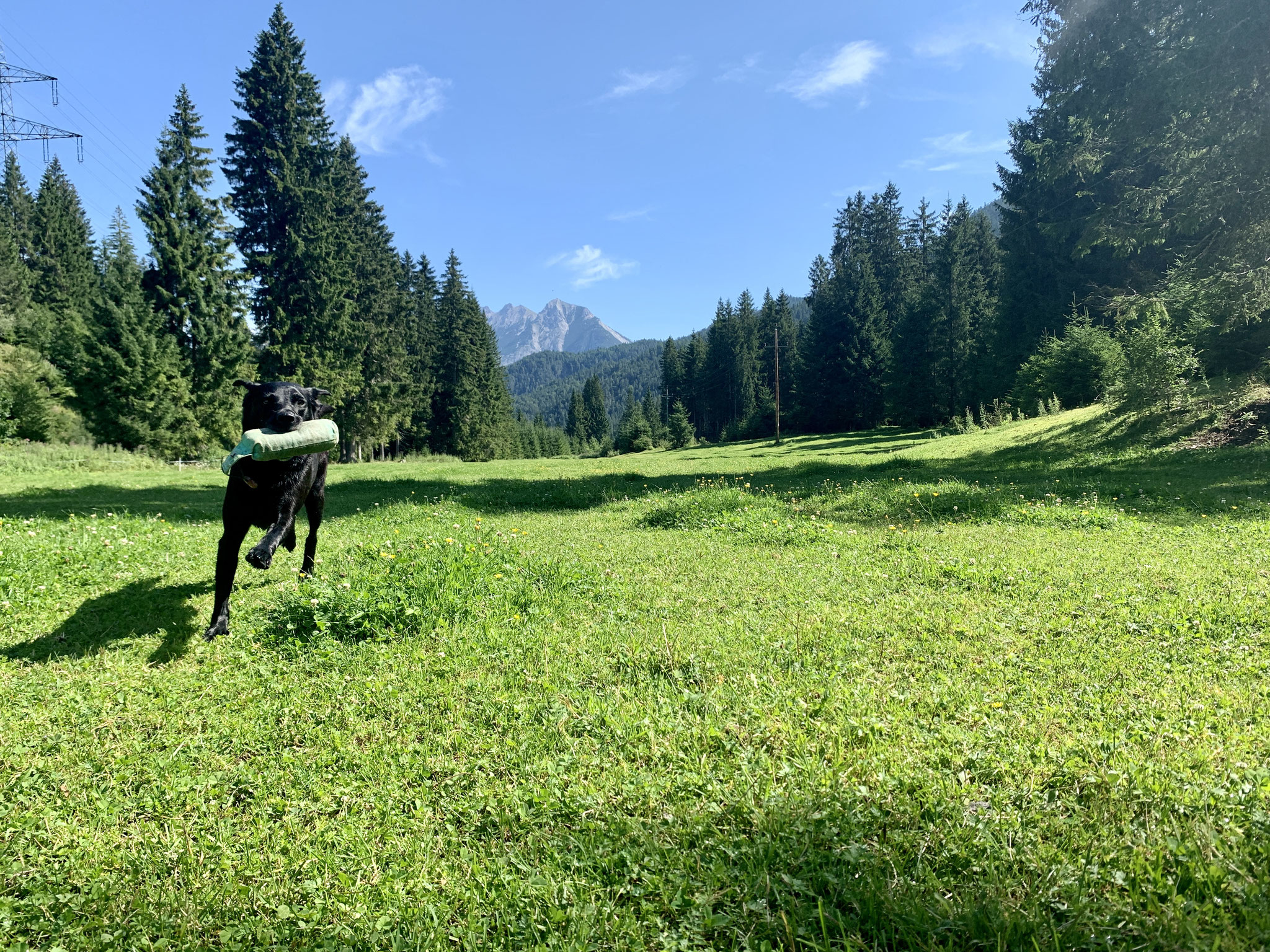 Sage mit über 9 Jahren beim Training