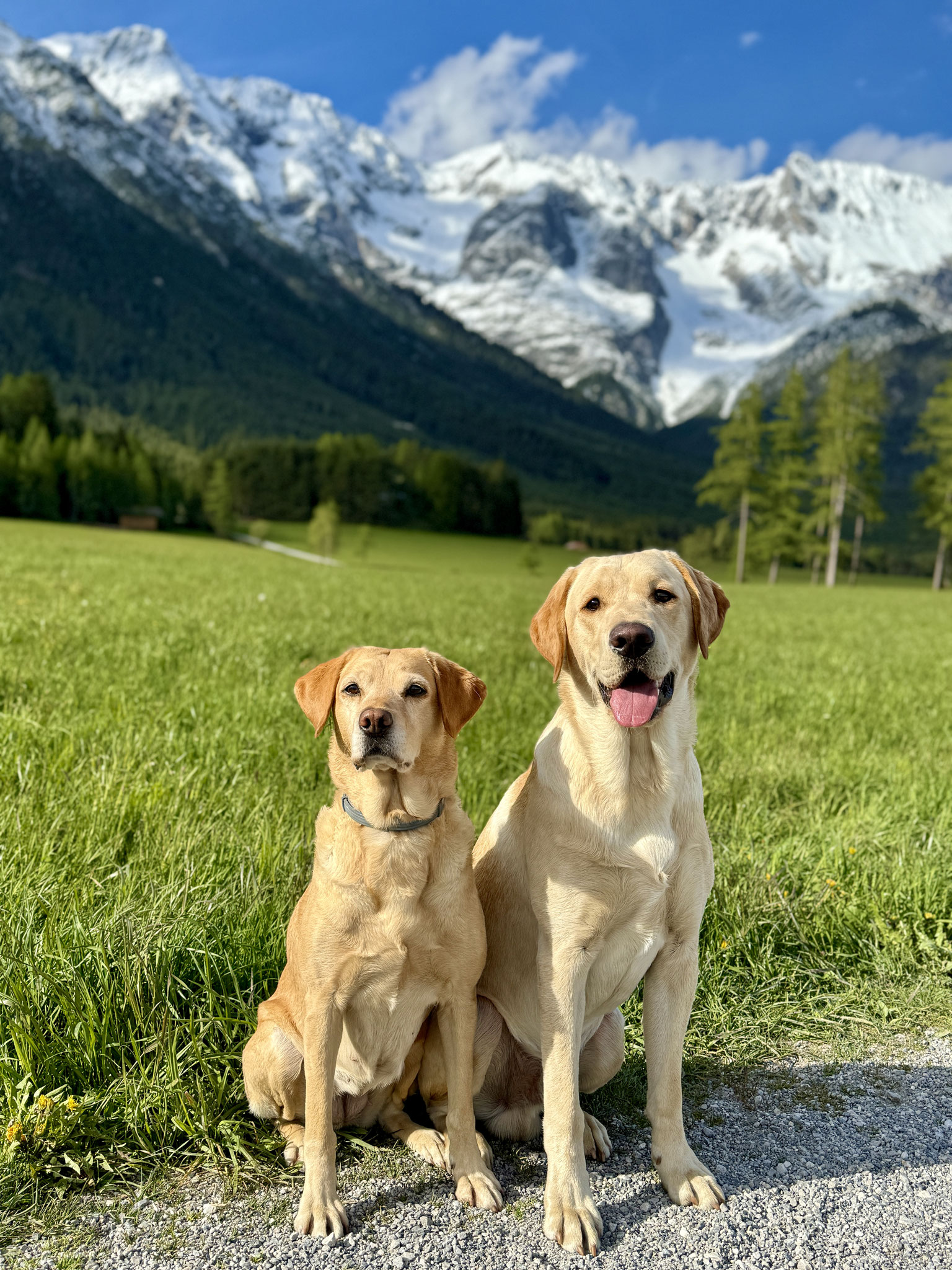Gunner mit Mama Zoe in Tirol (10 Monate alt)