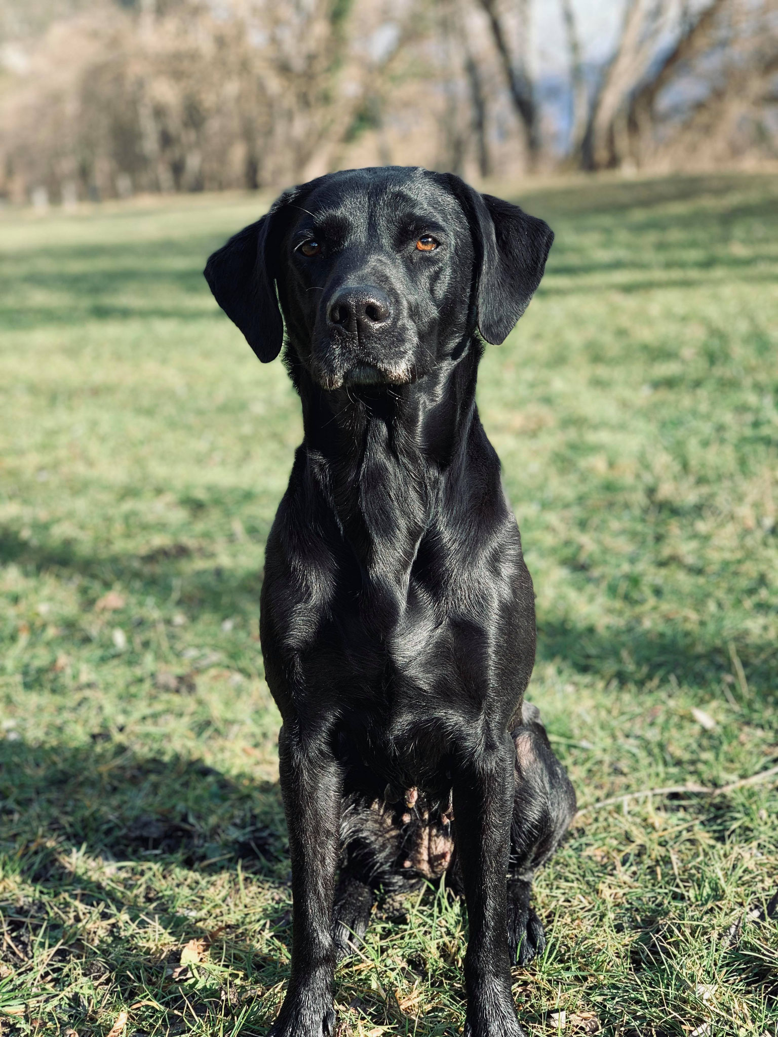 Sage mit 6.5 Jahren
