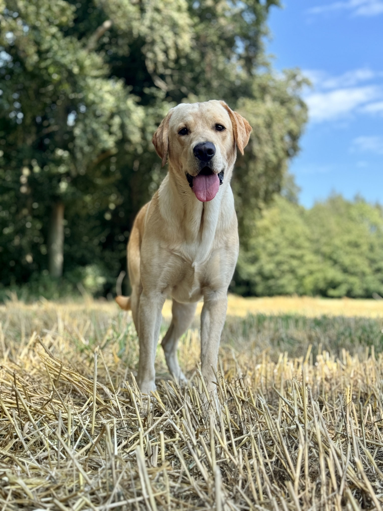 Gunner mit 13 Monaten