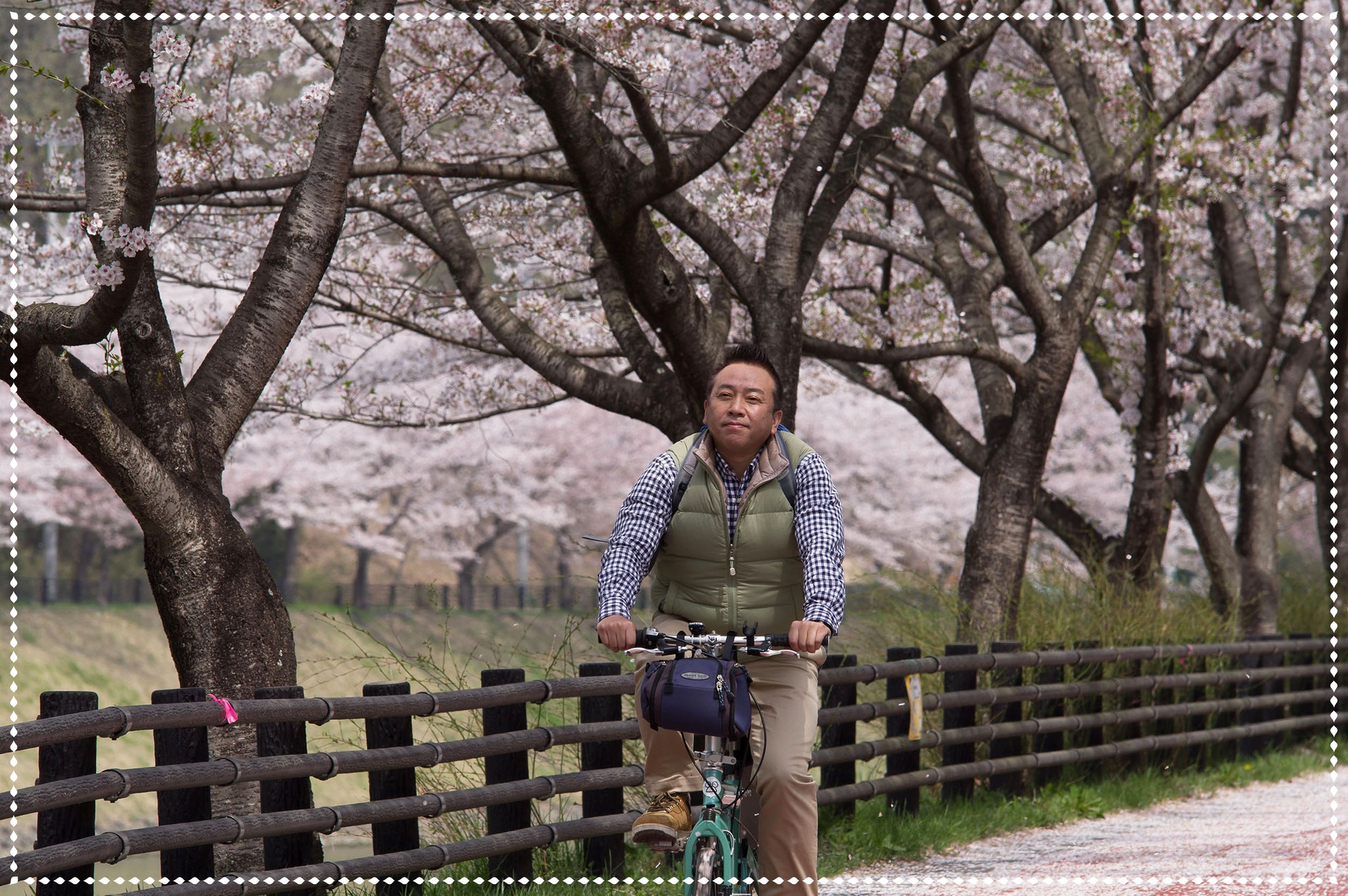 桜吹雪に迎えられ
