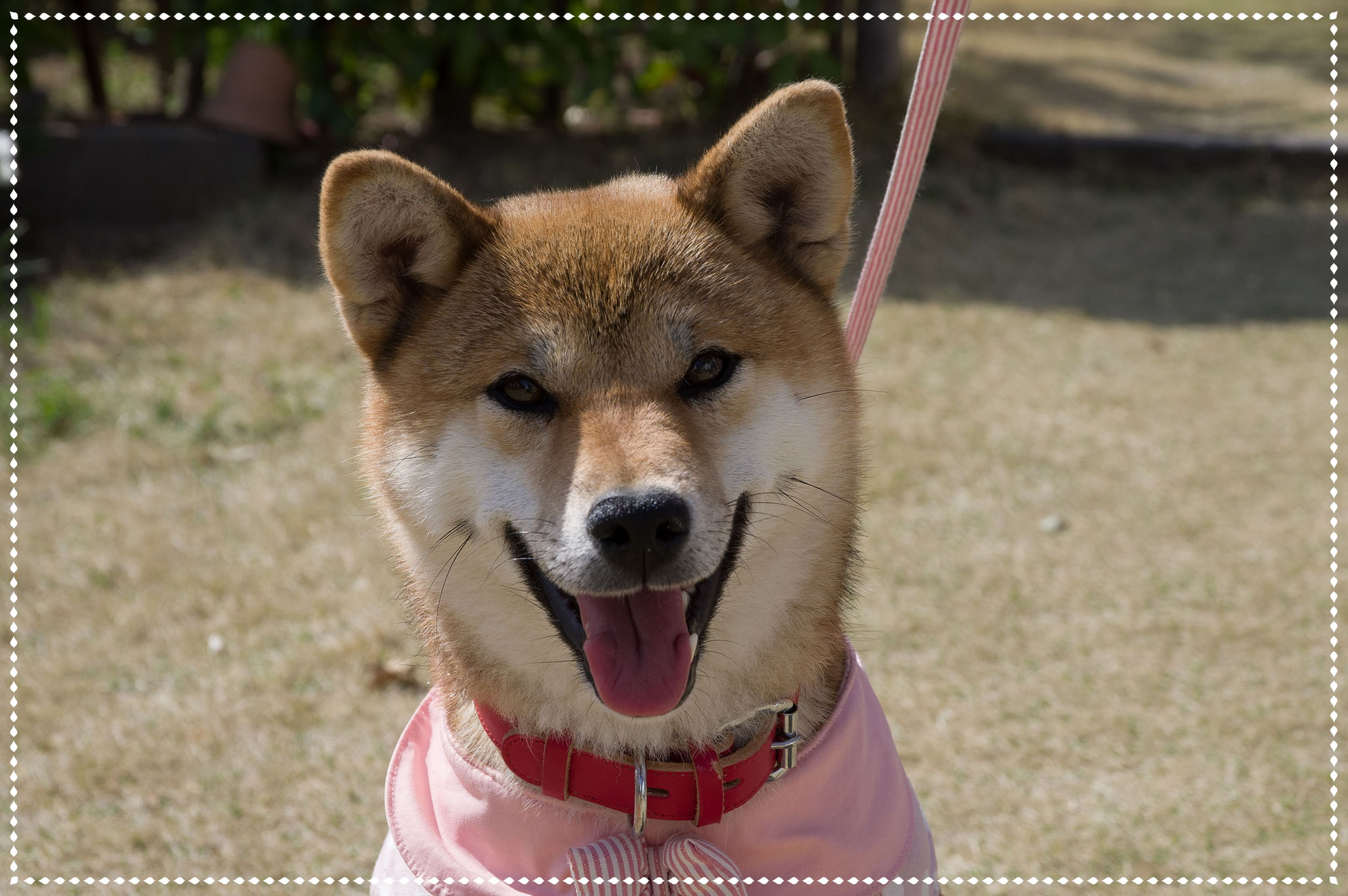 馬場まいこ