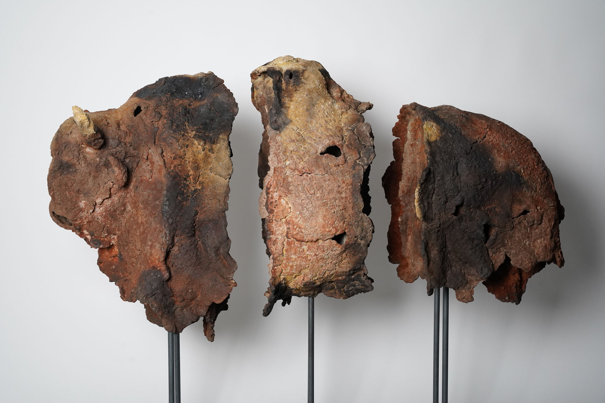 Bisons triptyque -  105 x 85 x 41 cm - enfumage  