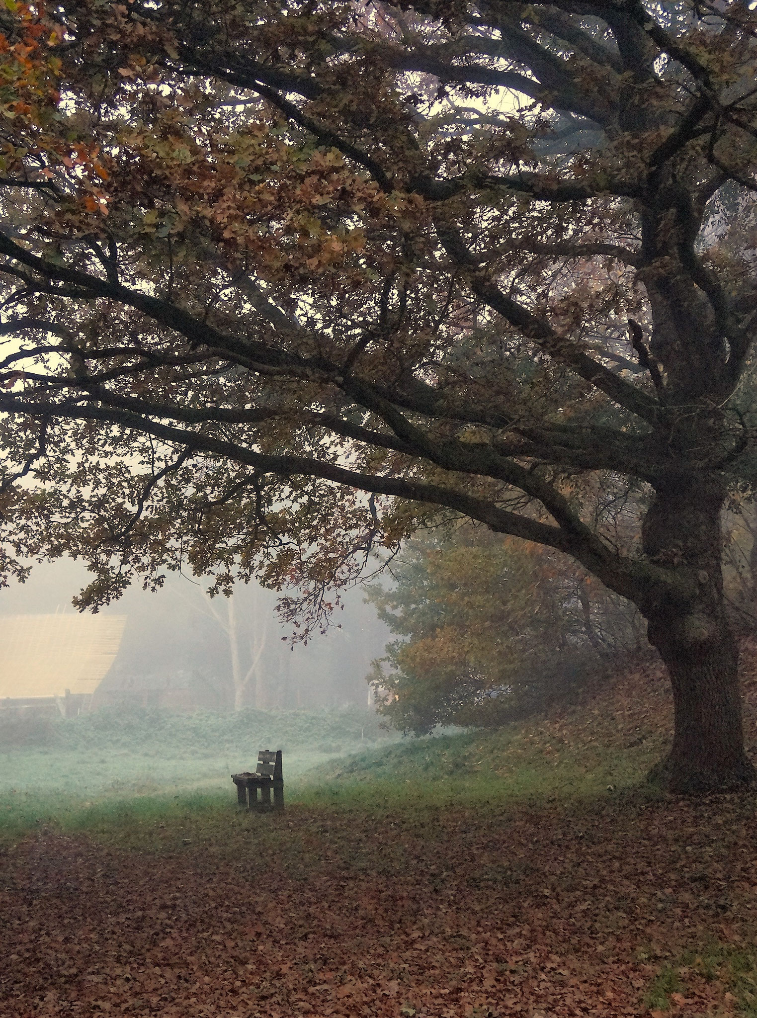 Camp des Rouets en Automne