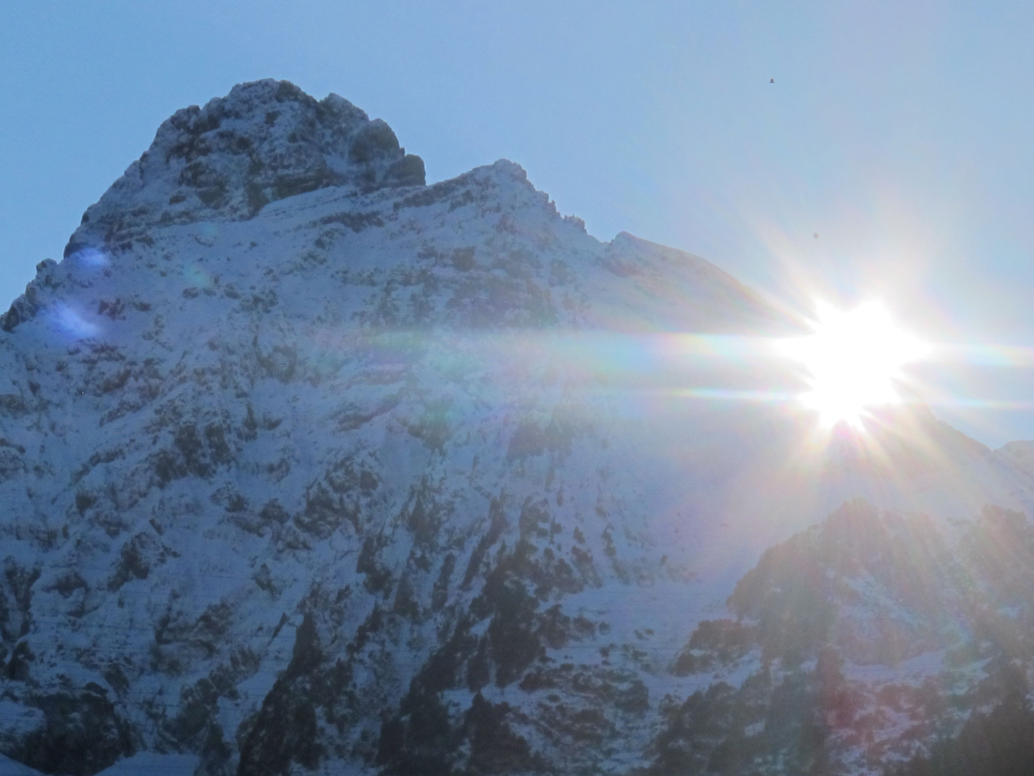 8. Nov. 2023, Mühlehorn Seegarten, Sonne zweigeteilt Grat und Loch