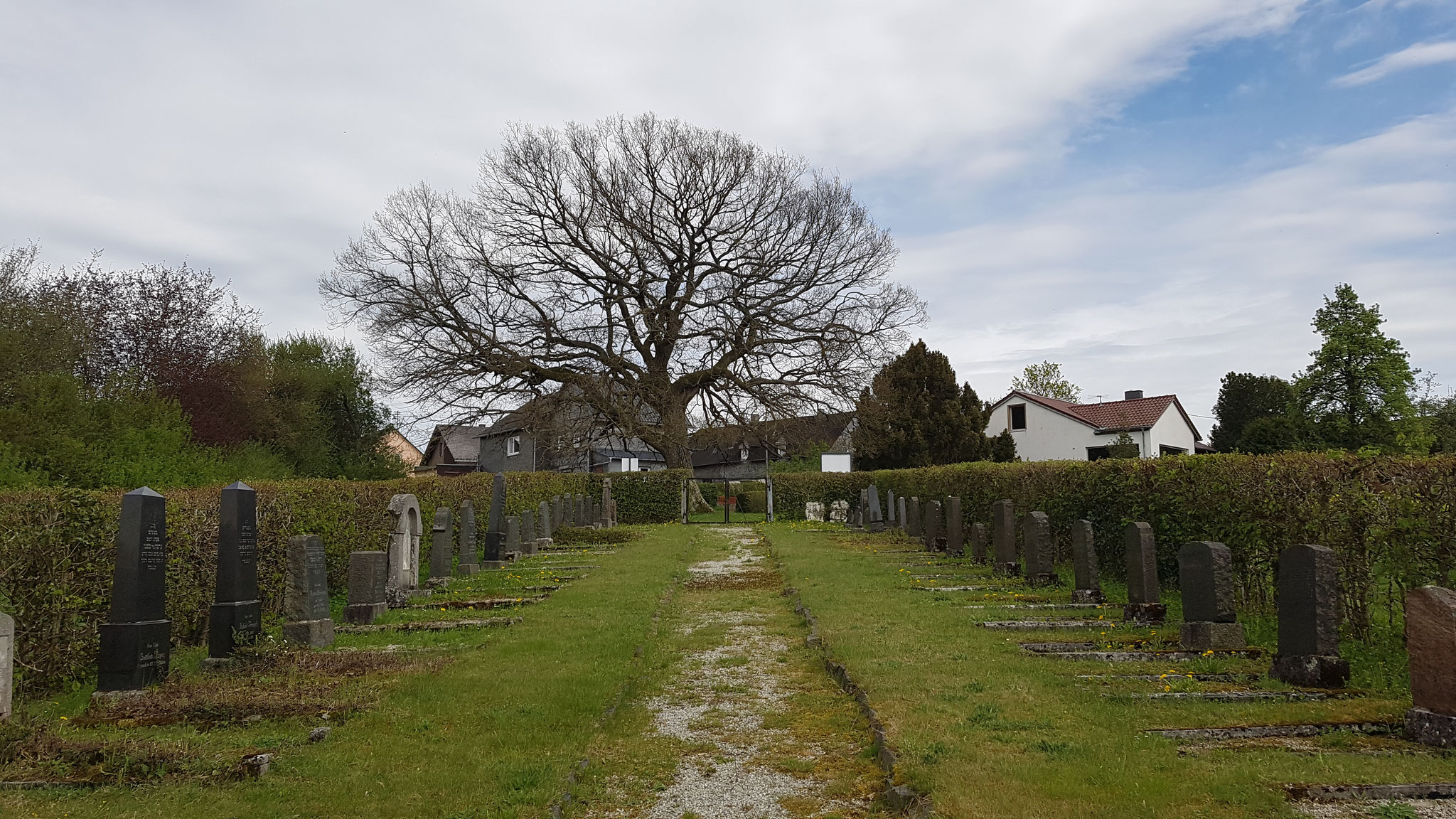 Einige Grabsteine auf dem Friedhof (Quelle:  Synagoge Laufersweiler)