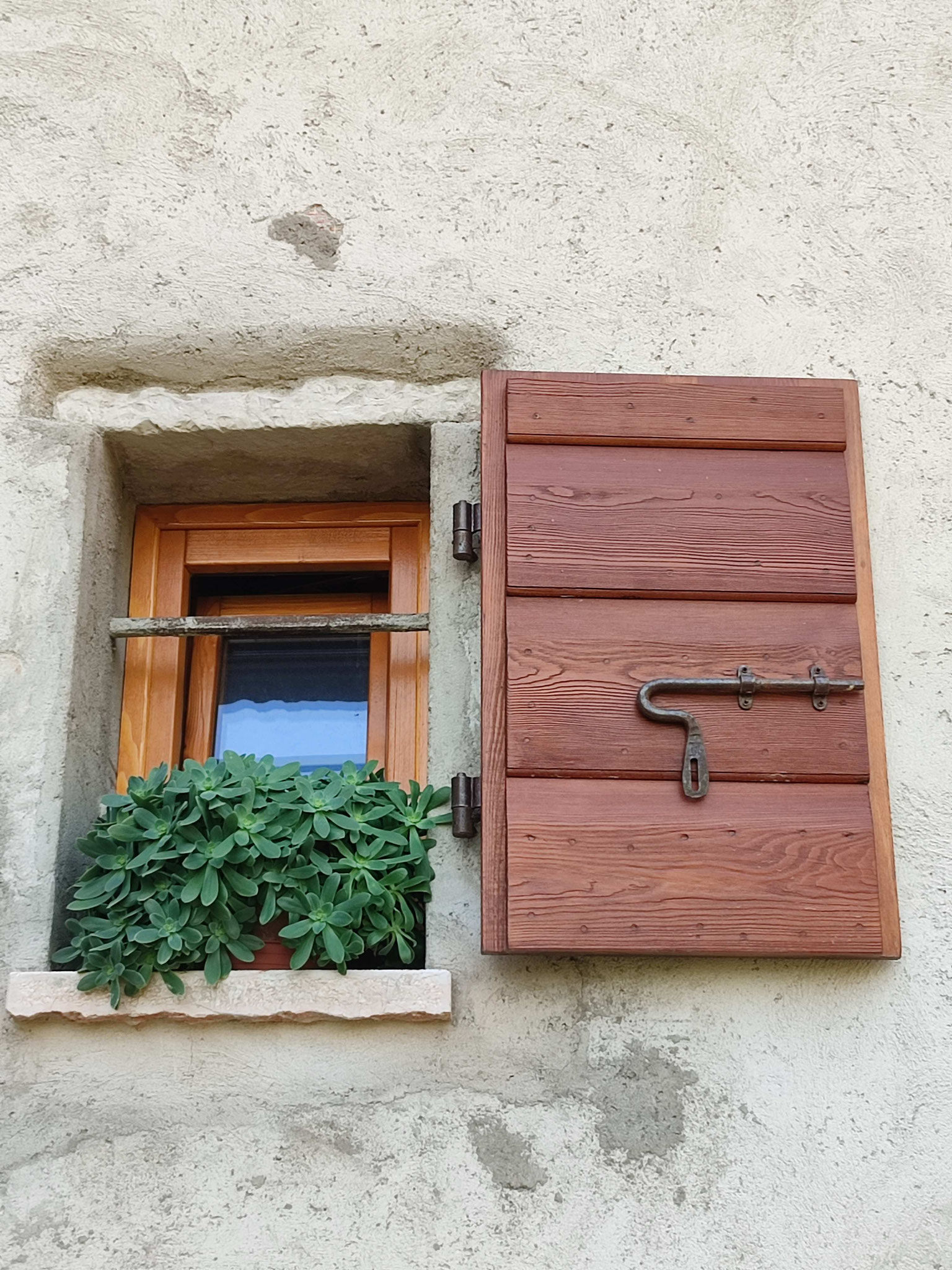 Scuro in larice spazzolato 