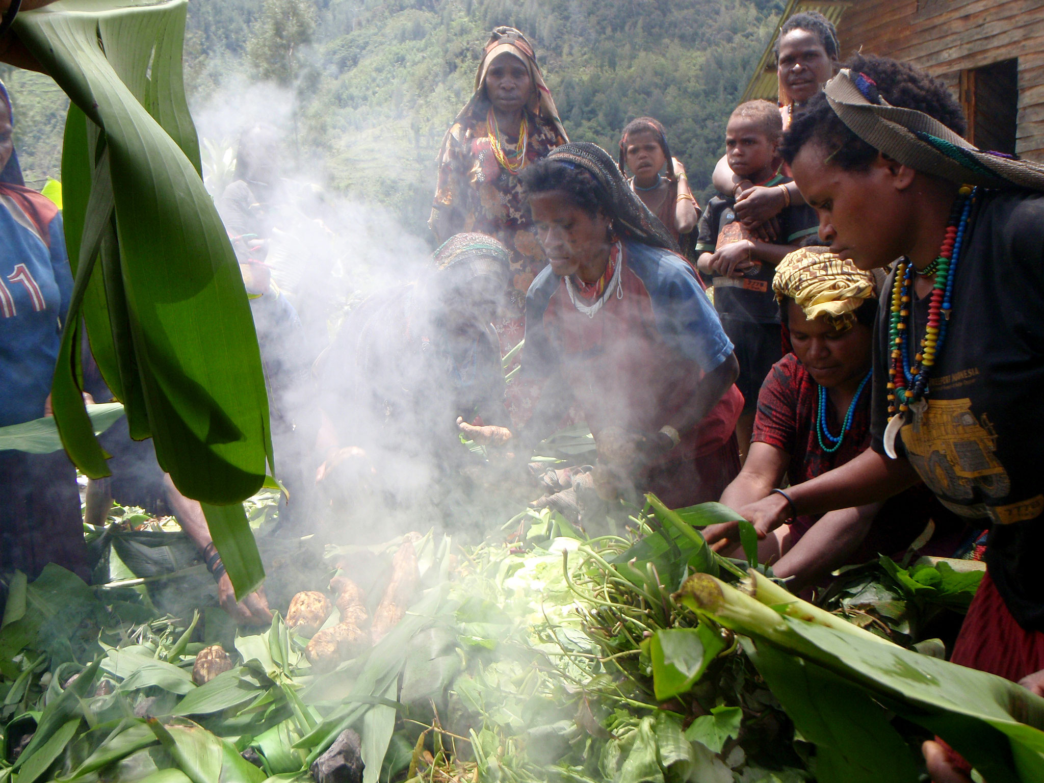 Papua rund um einen dampfenden Erdofen
