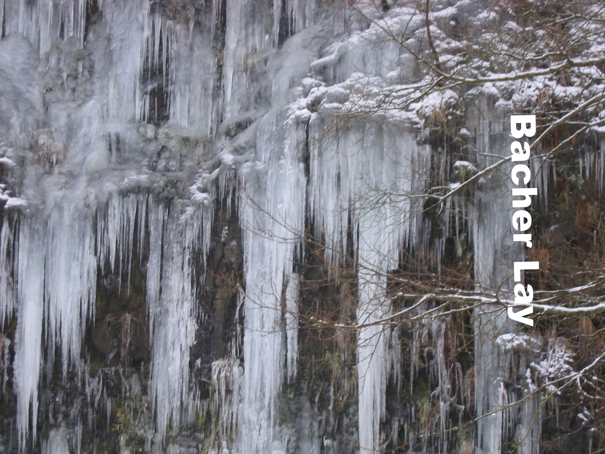 Winterimpression in der Bacher Lay