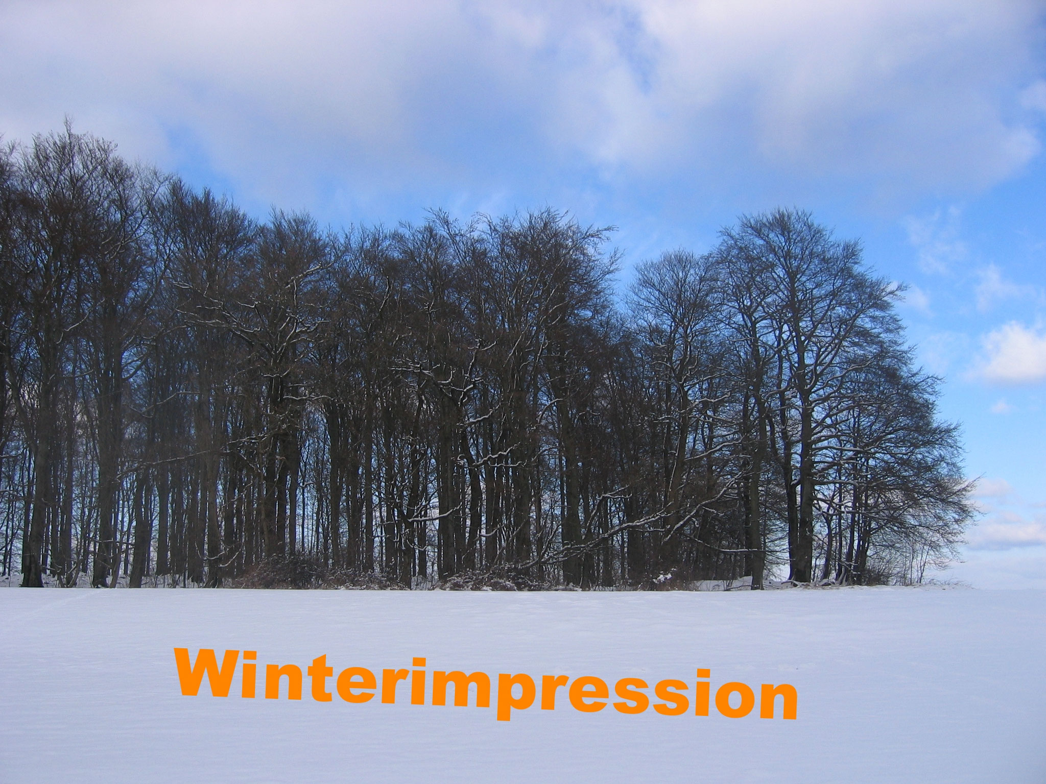 Winterimpression