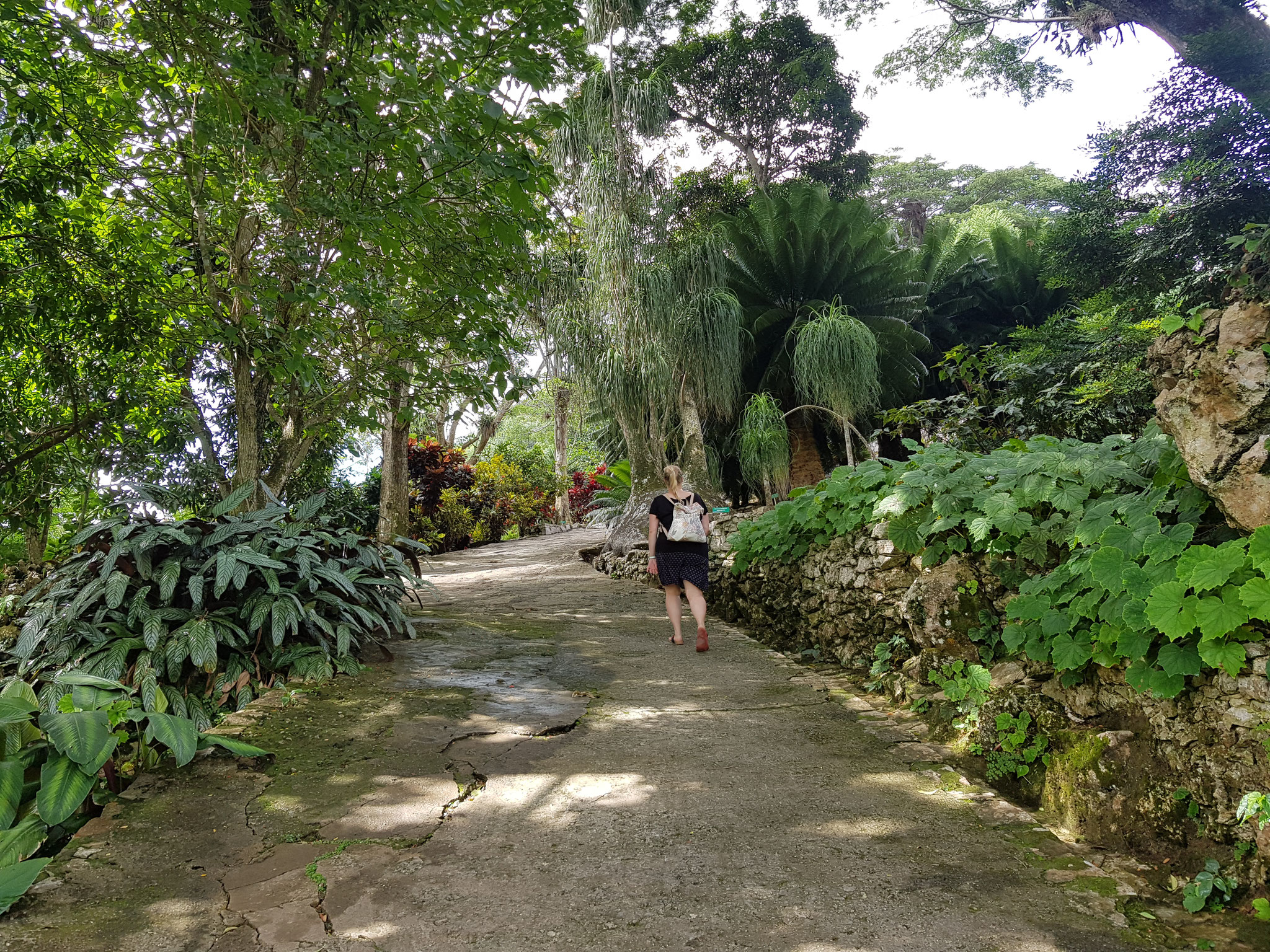 Kuba- Soroa, Botanischer Garten 