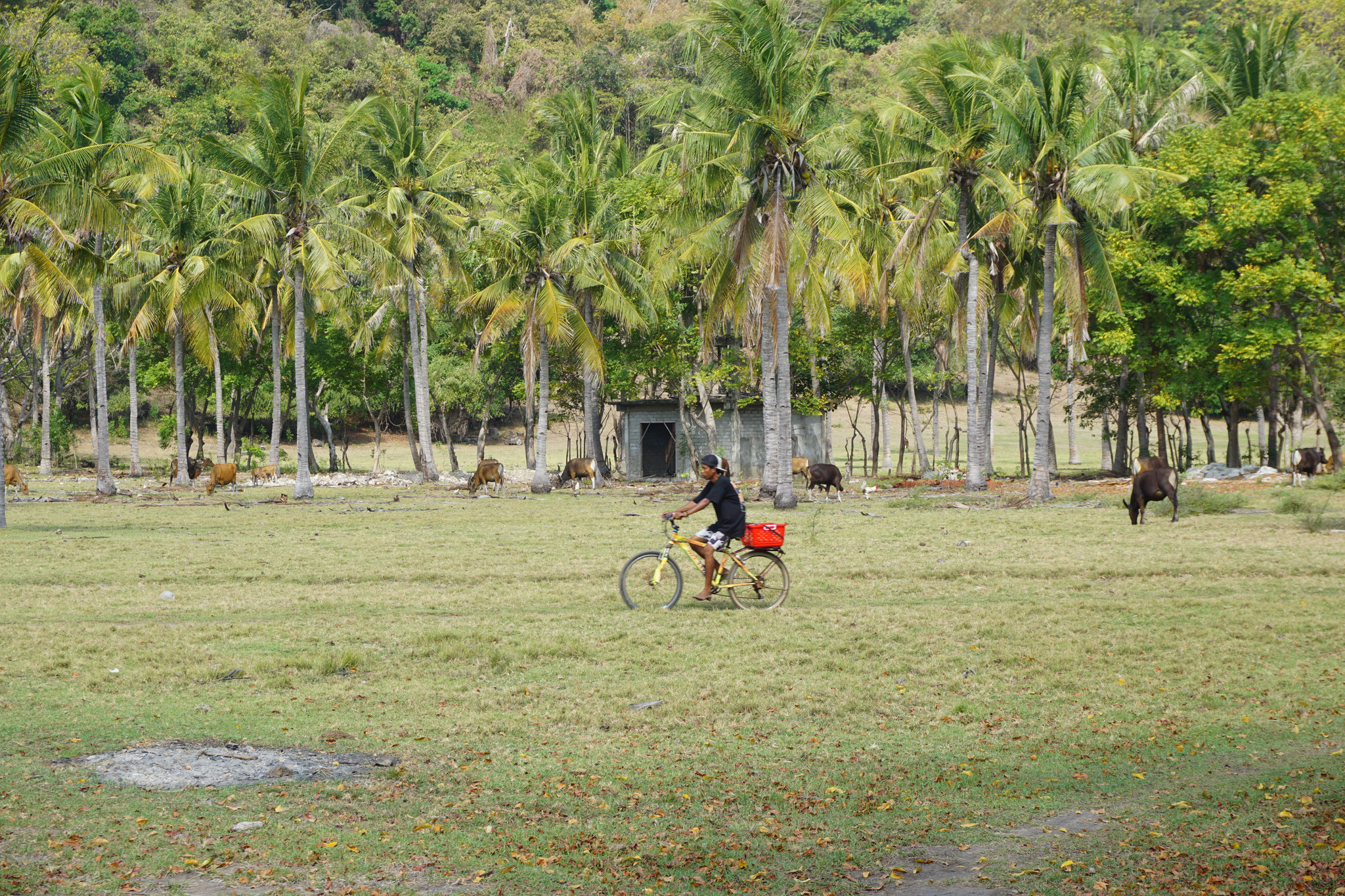 Ein Radfahrer auf Gili Trawangan