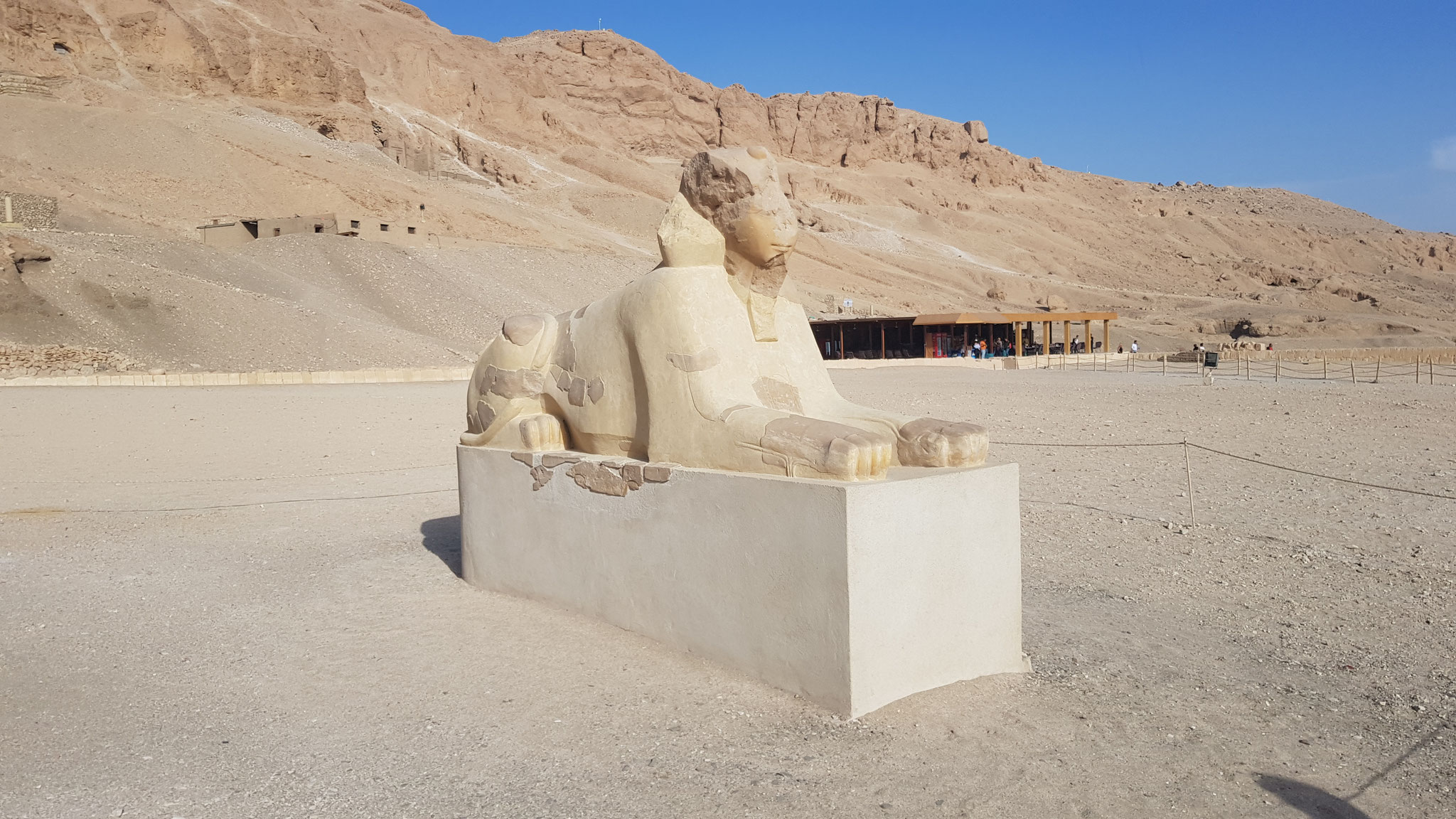 Eine Sphinx vor dem Tempel der Hatschepsut