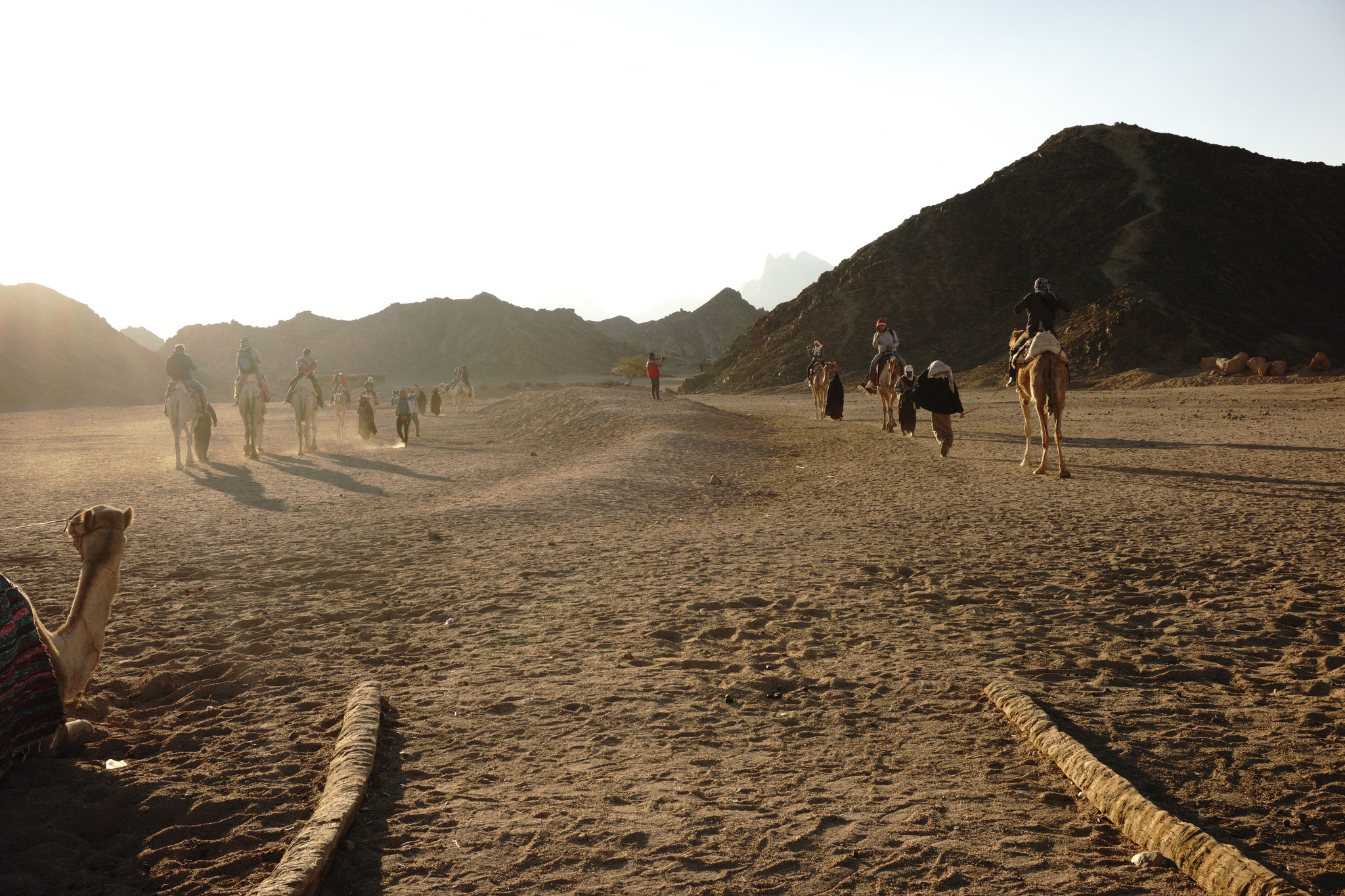 Kamelreiten im Dorf der Beduinen