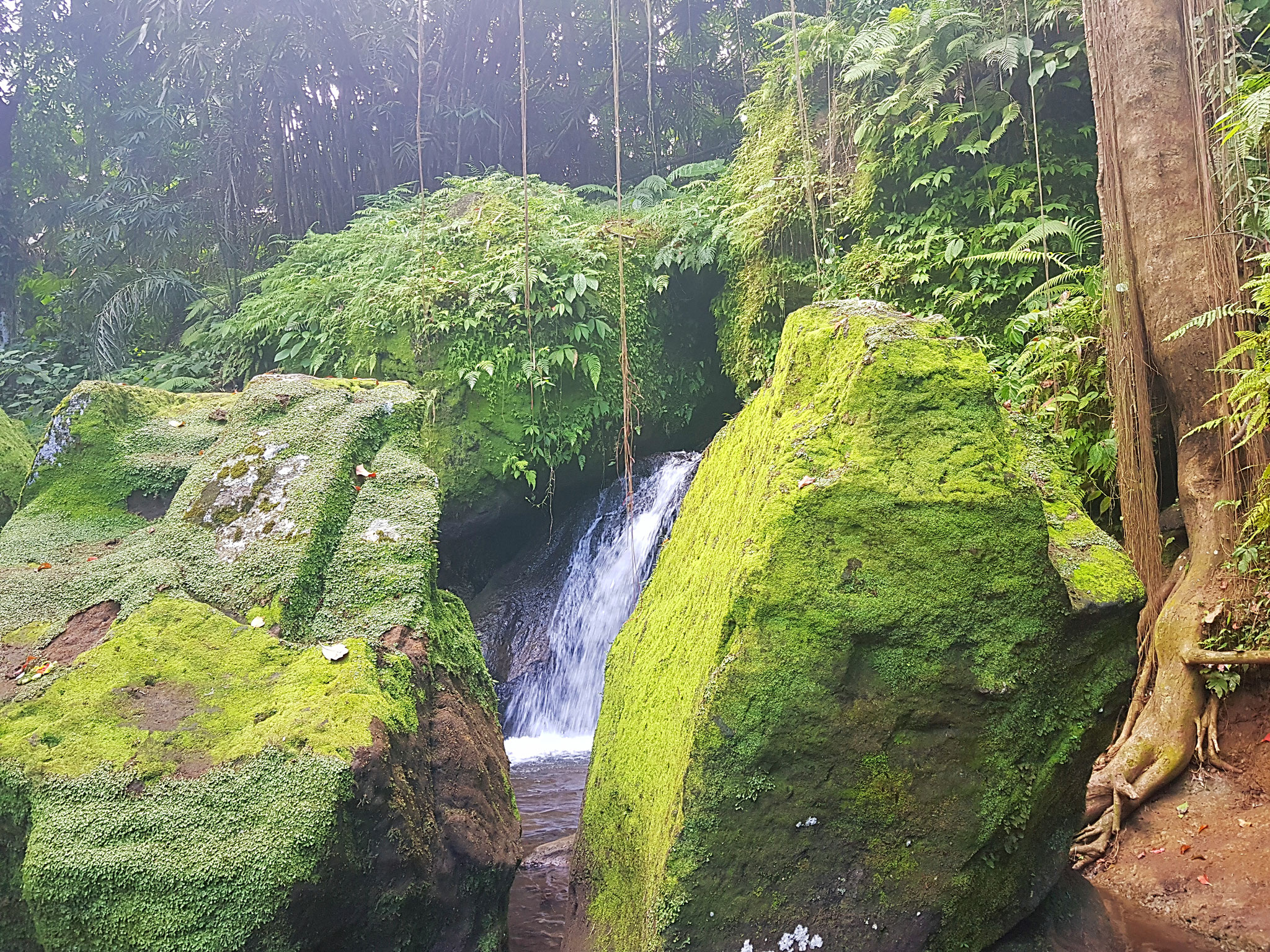 Der kleine Wasserfall im Waldabschnitt