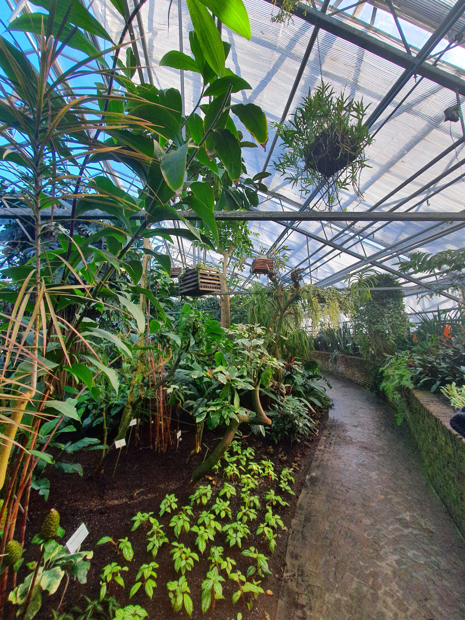 Kruidtuin (botanischer Garten)