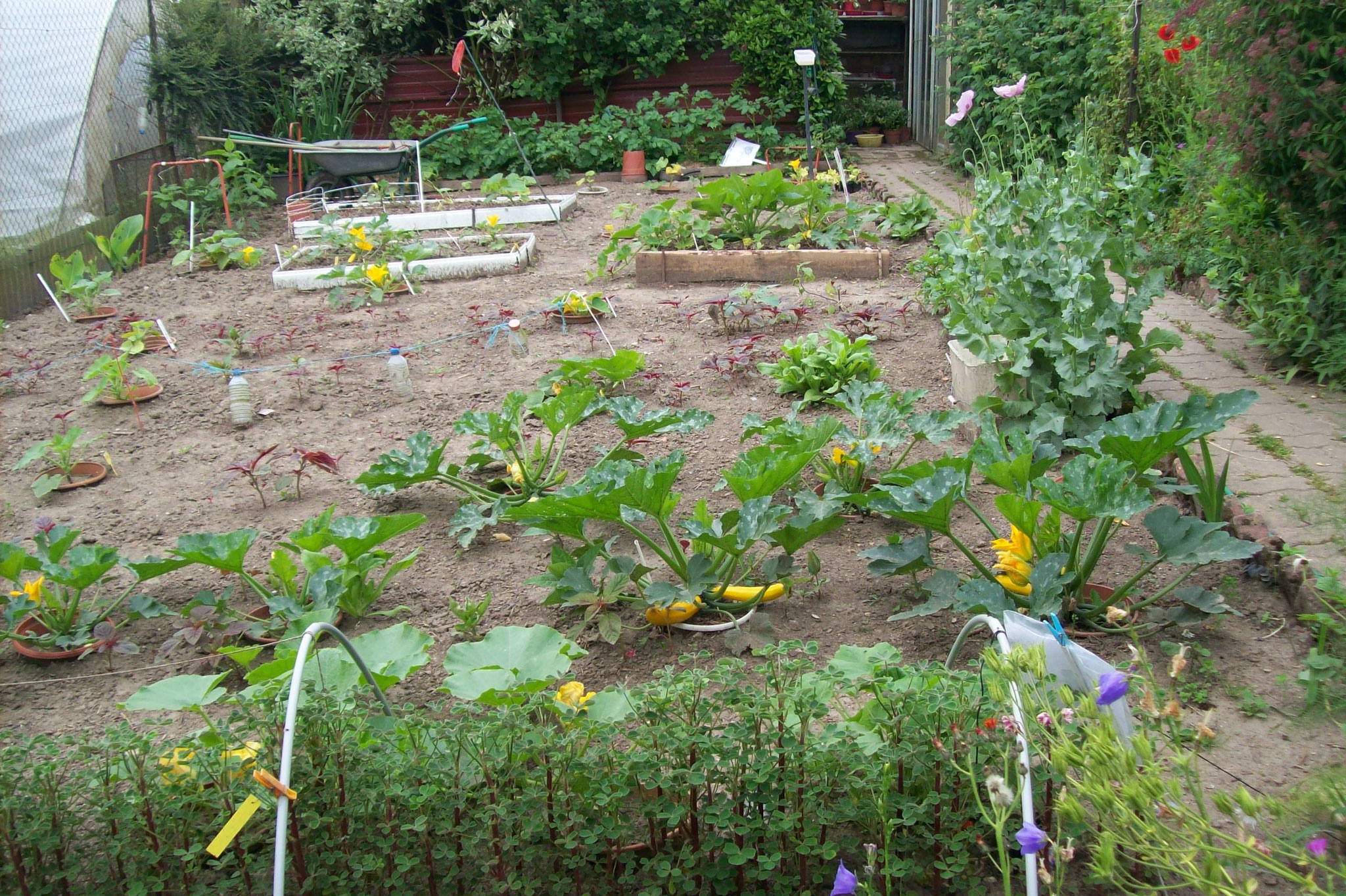 le coin de la permaculture