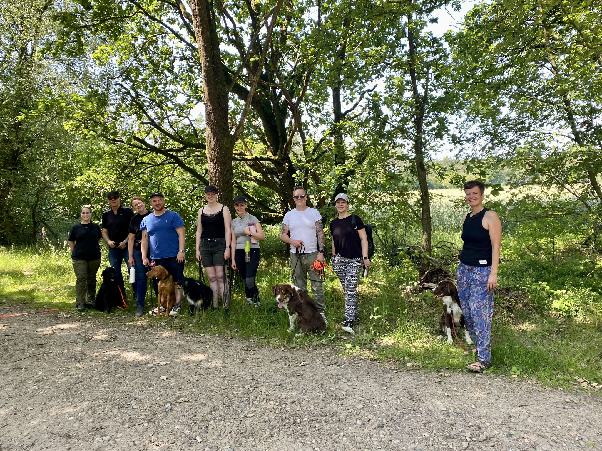 Eindrücke aus meinen Hunde-Sommerkursen mit Junghunden- und Fortgeschrittenen.