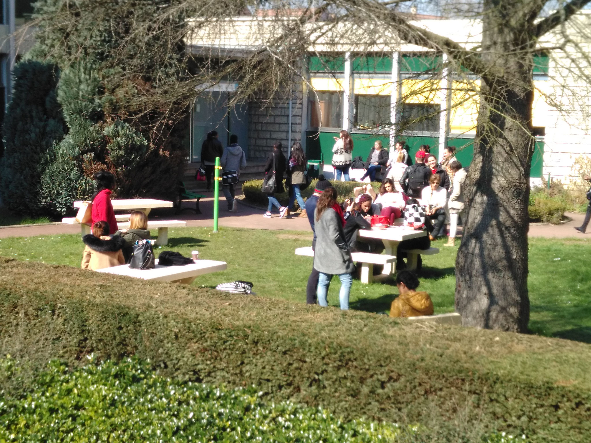 Salon de jardin extérieur pour déjeuner 