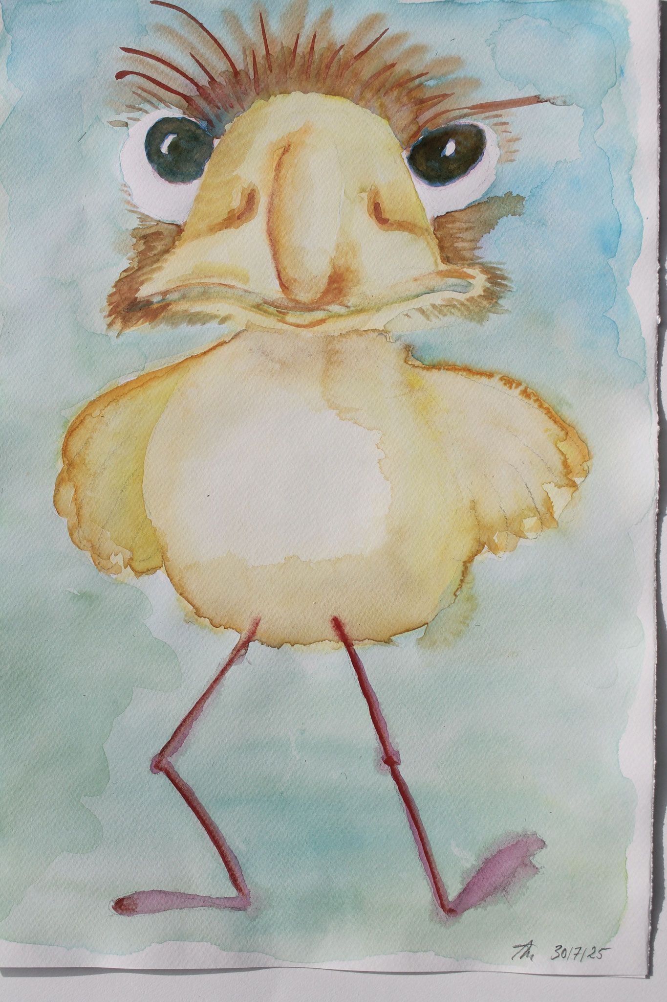 Da habe ich den Kopf eines Emus entdeckt und habe ihm einen neuen Körper gegeben. Alles ist erlaubt!