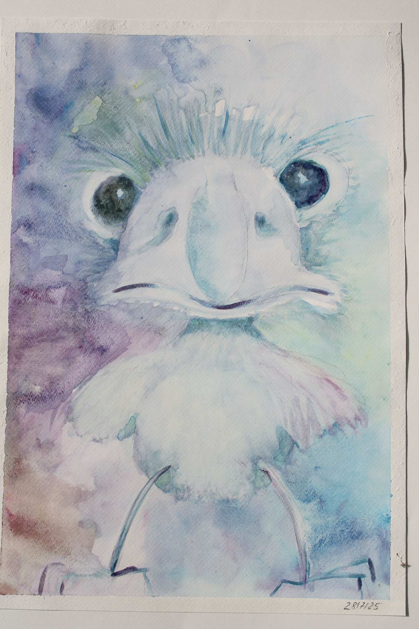 Bei diesem Emu habe ich mich sehr bemüht in der Fläche zu bleiben und Den Vogel mit dem Hintergrund zu verbinden