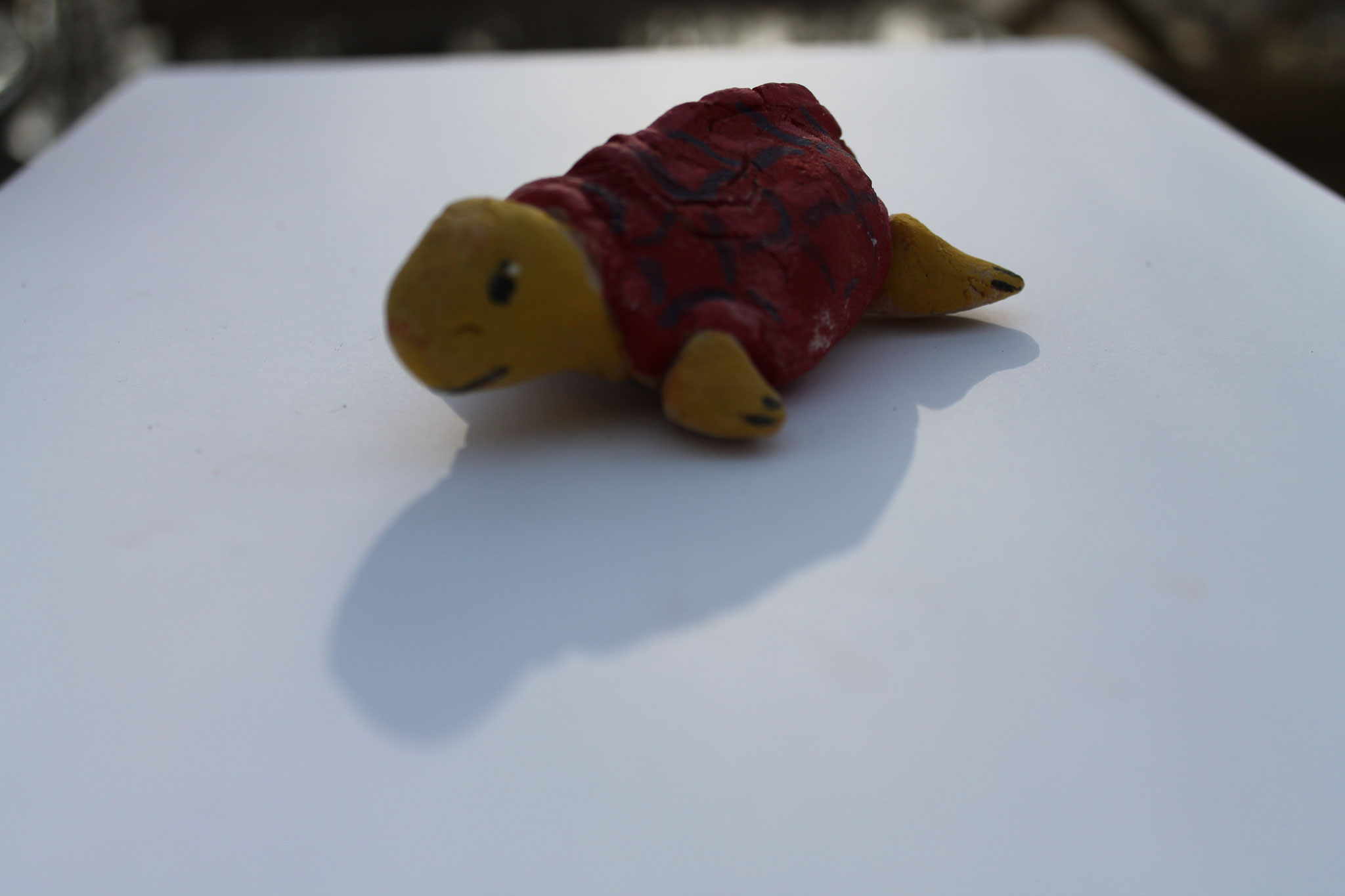 aber Schildkröten bieten mit ihrem Panzer viel Raum für Malideen