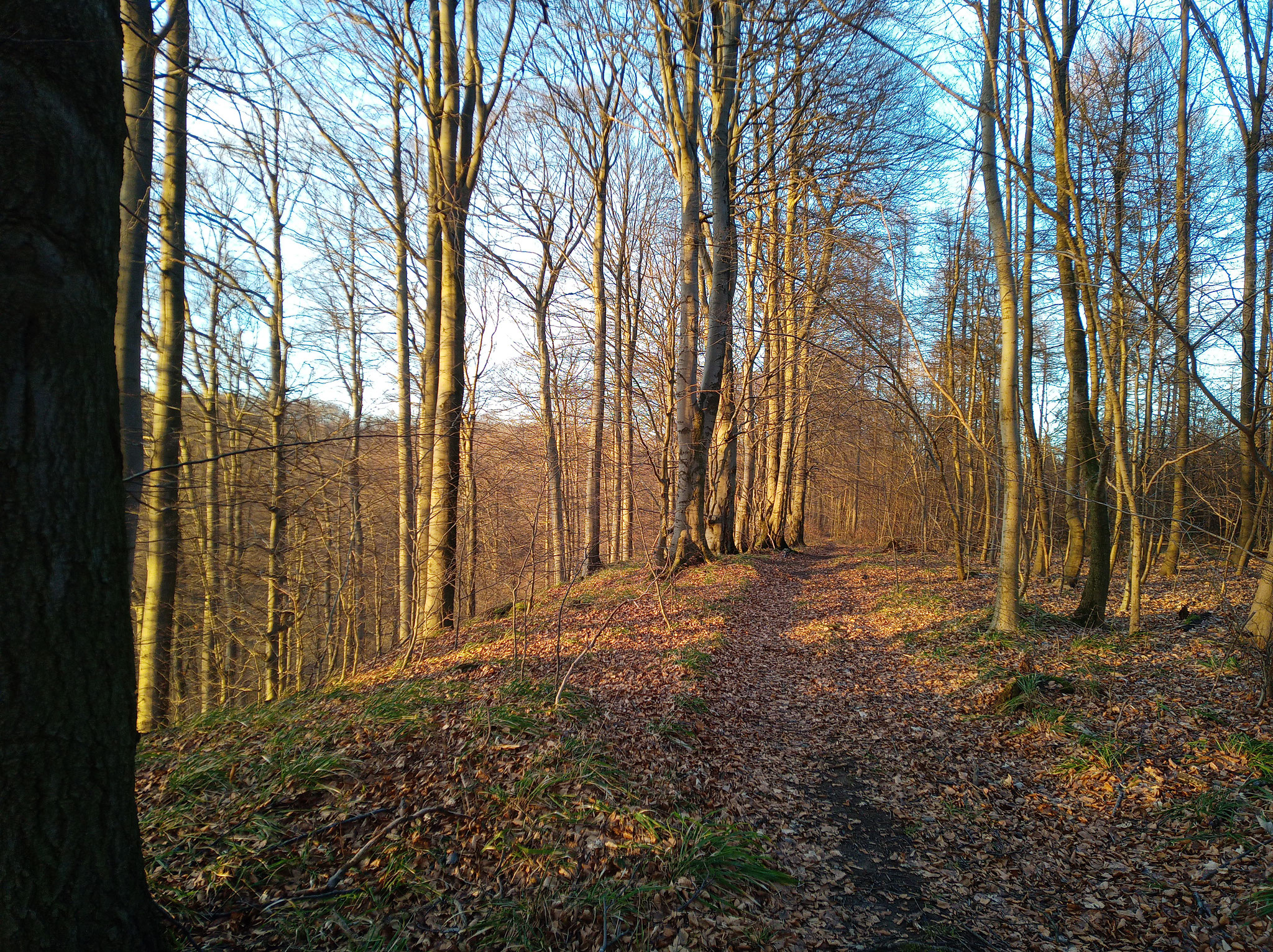 Süntel, trail am Abgrund