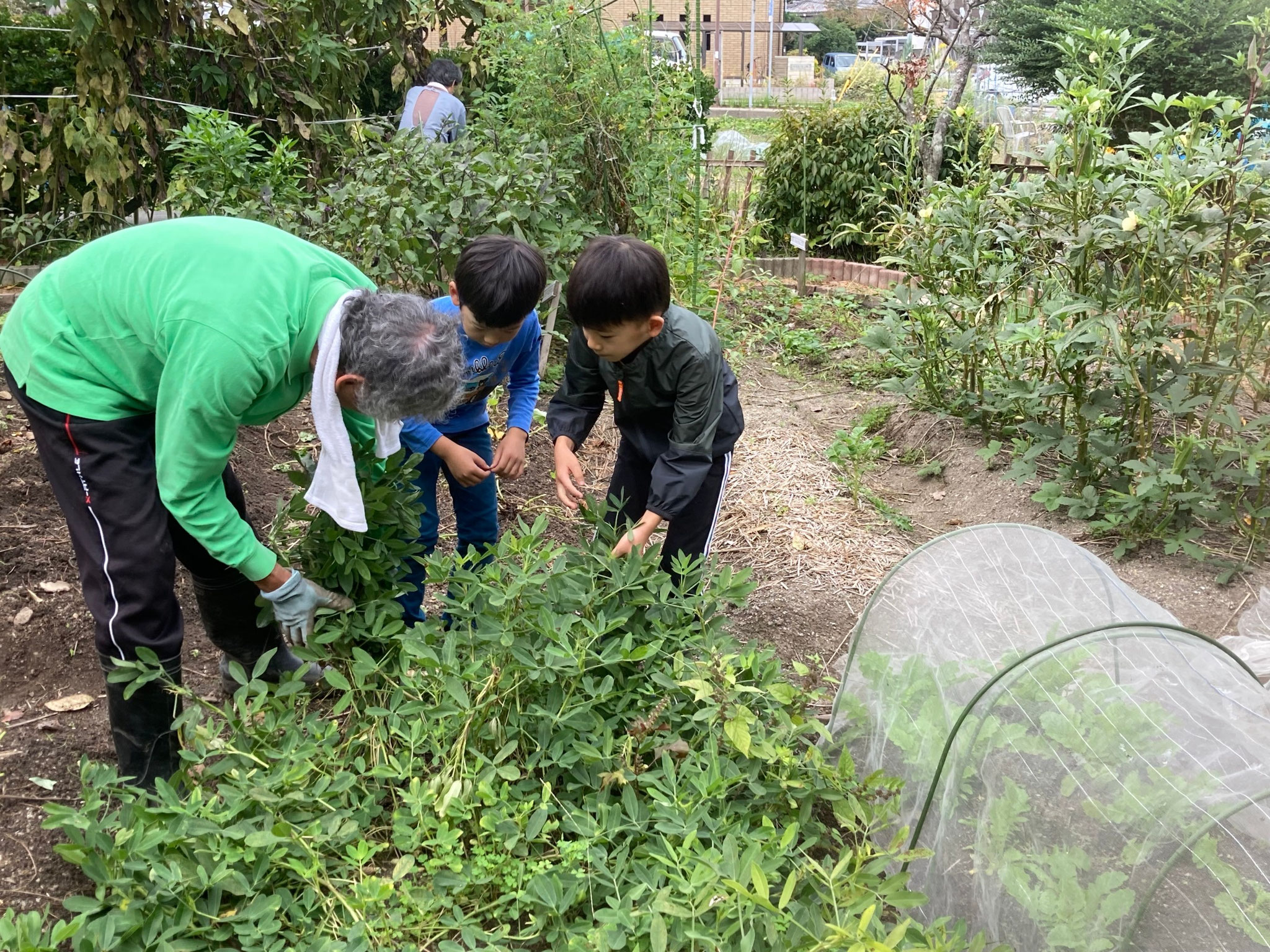 2024/10/26 じばやん収穫祭